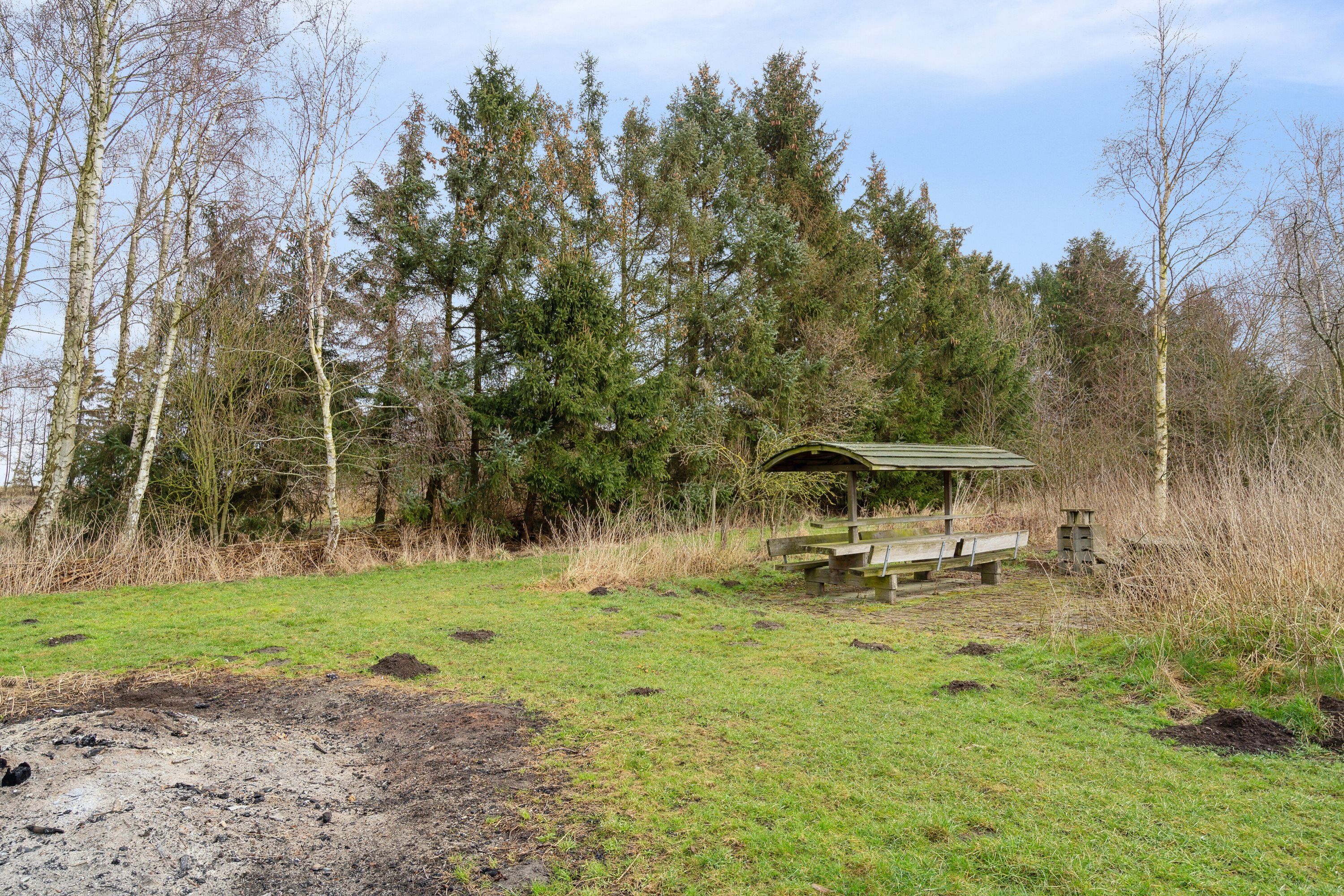 Fremhævet udendørs billede i fuldskærmstilstand. Billede af Skovgyden 53, Ørritslev Skov, 5450 Otterup