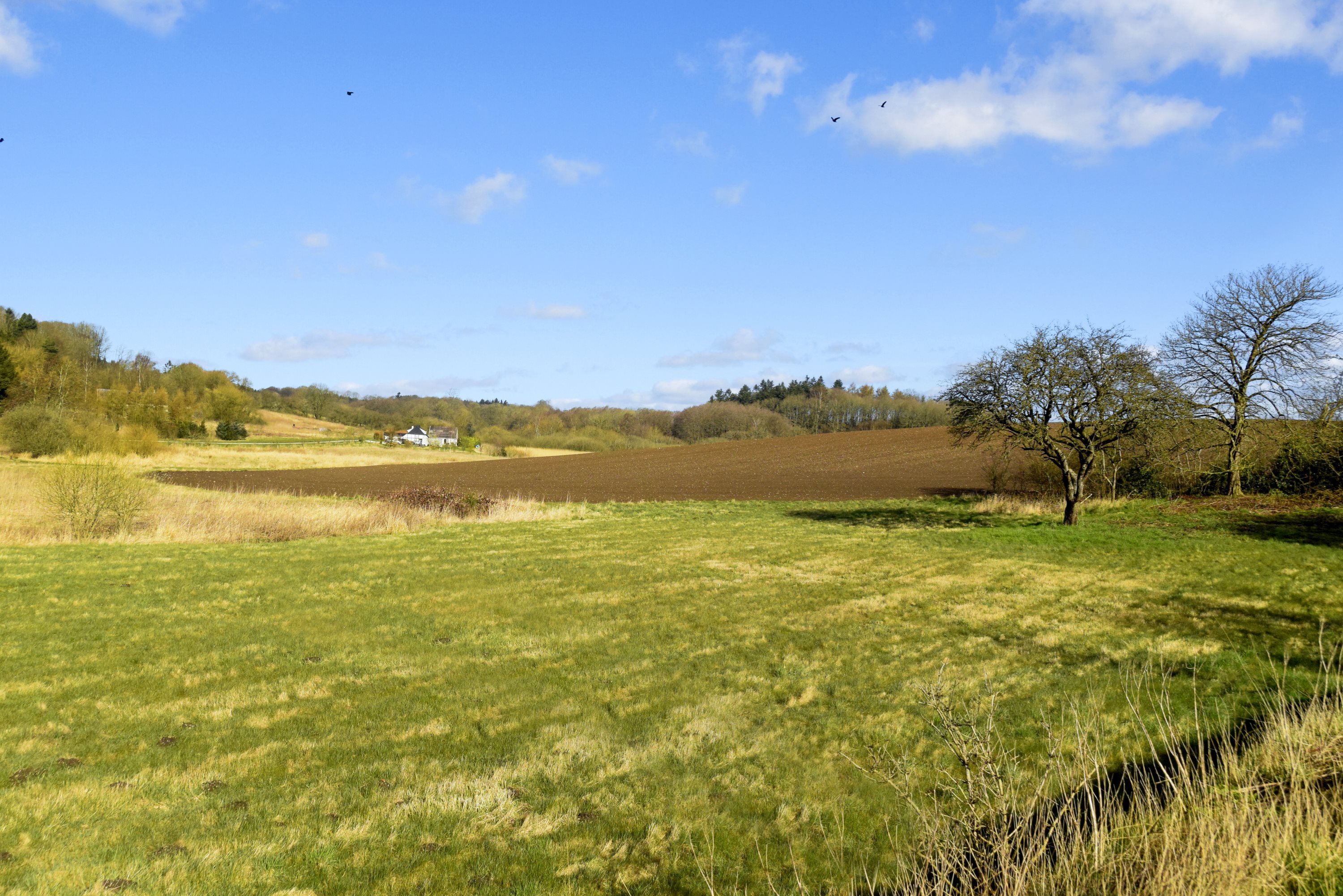 Fremhævet grund billede i fuldskærmstilstand. Billede af Horsensvej 70, Tebstrup, 8660 Skanderborg