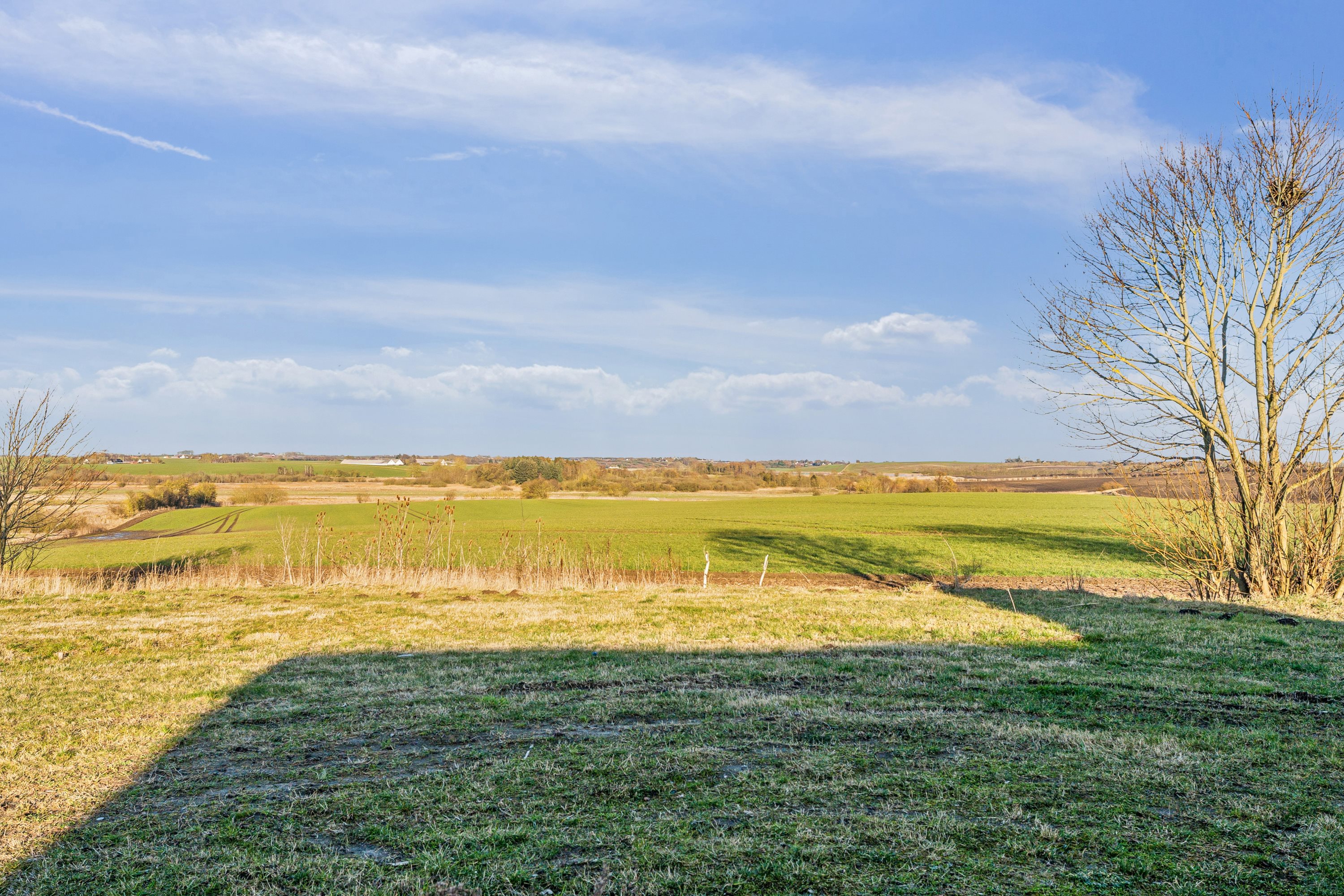 Miniaturebillede 1: have. Billede af Ærteholmsvej 50, Gjerlev, 8983 Gjerlev J