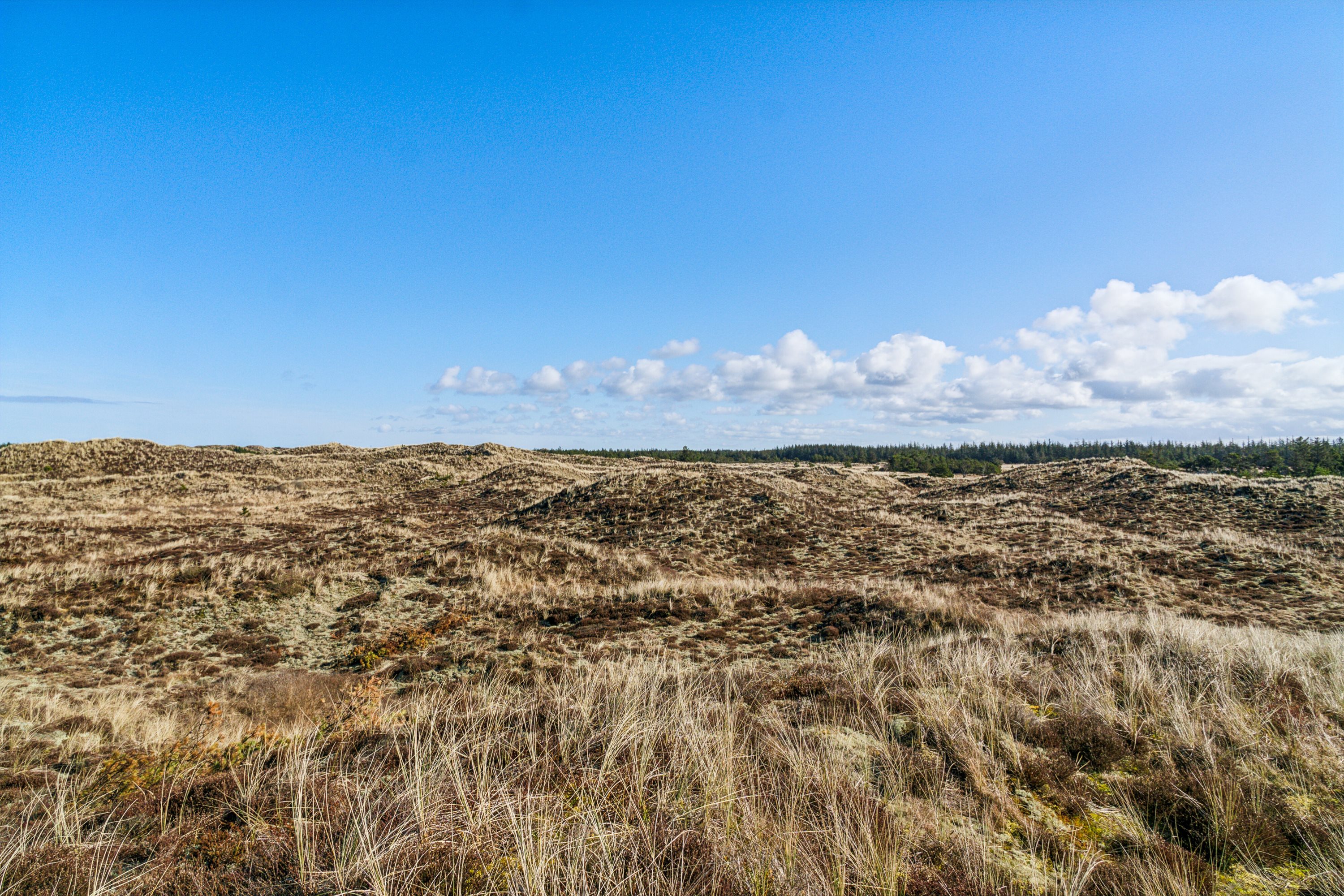 Fremhævet udendørs billede i fuldskærmstilstand. Billede af Lyngbyvej 24, Lyngby, 7755 Bedsted Thy