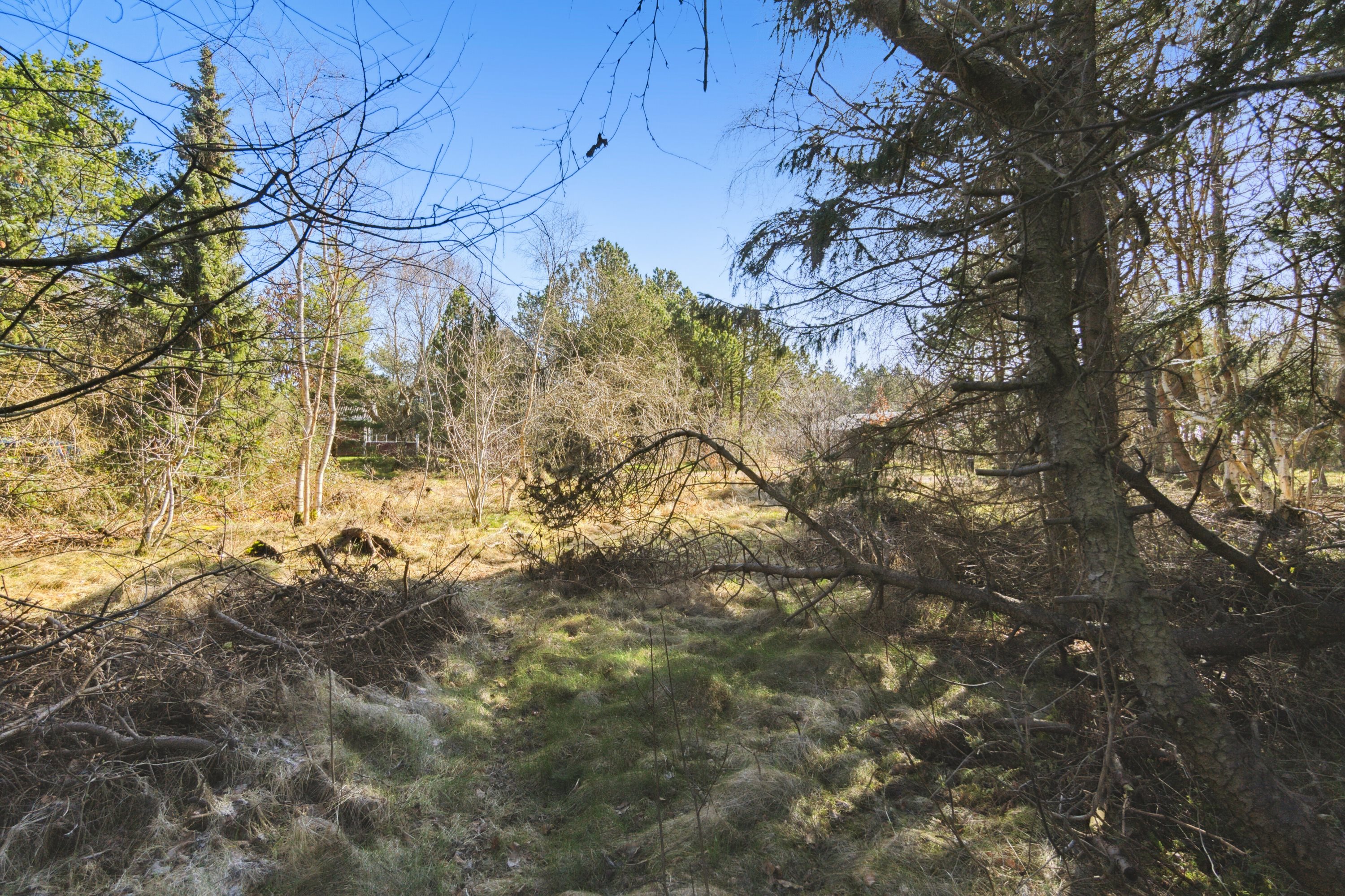 Fremhævet udendørs billede i fuldskærmstilstand. Billede af Strandskadevej 10, Helligsø, 7760 Hurup Thy
