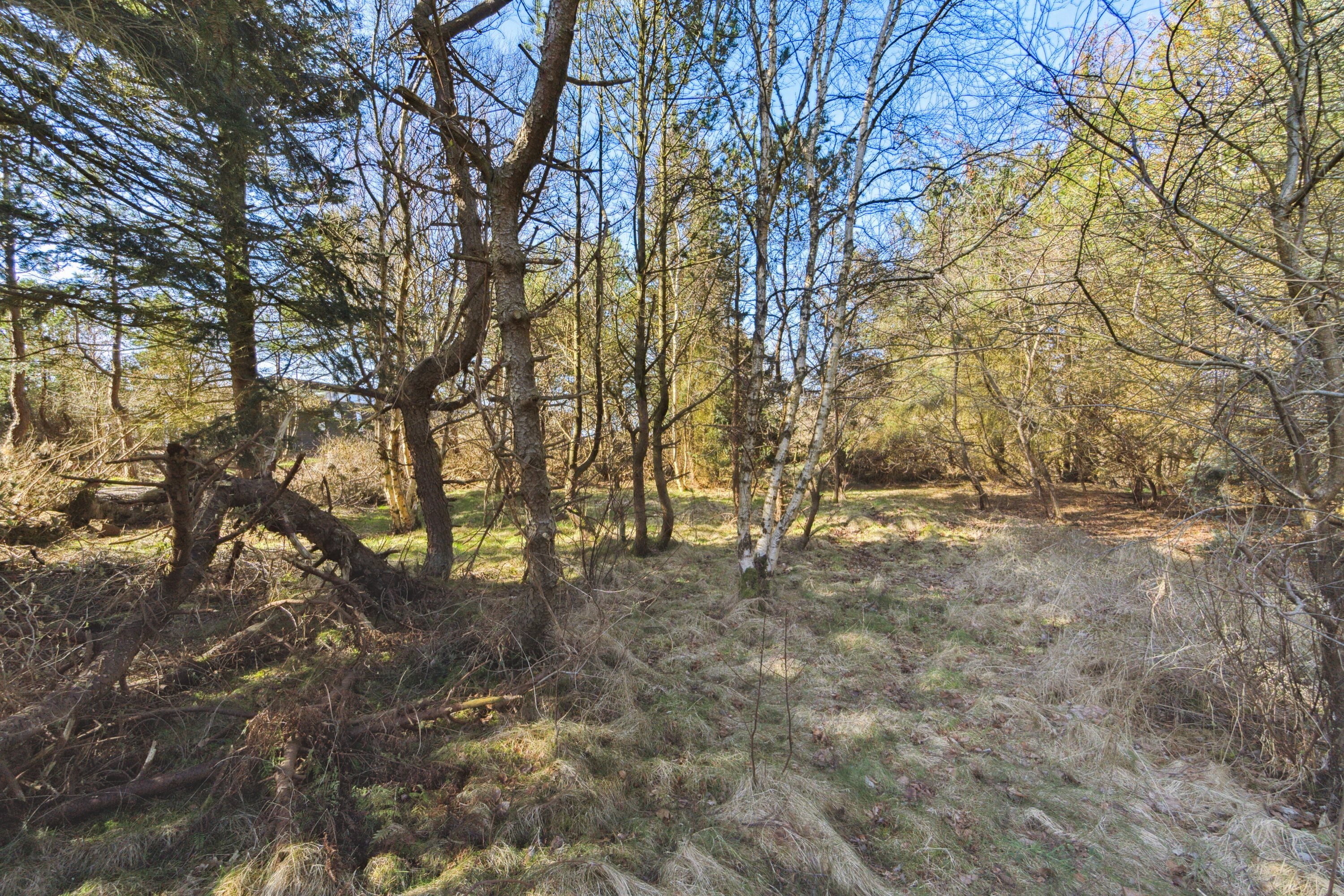 Fremhævet udendørs billede i fuldskærmstilstand. Billede af Strandskadevej 10, Helligsø, 7760 Hurup Thy