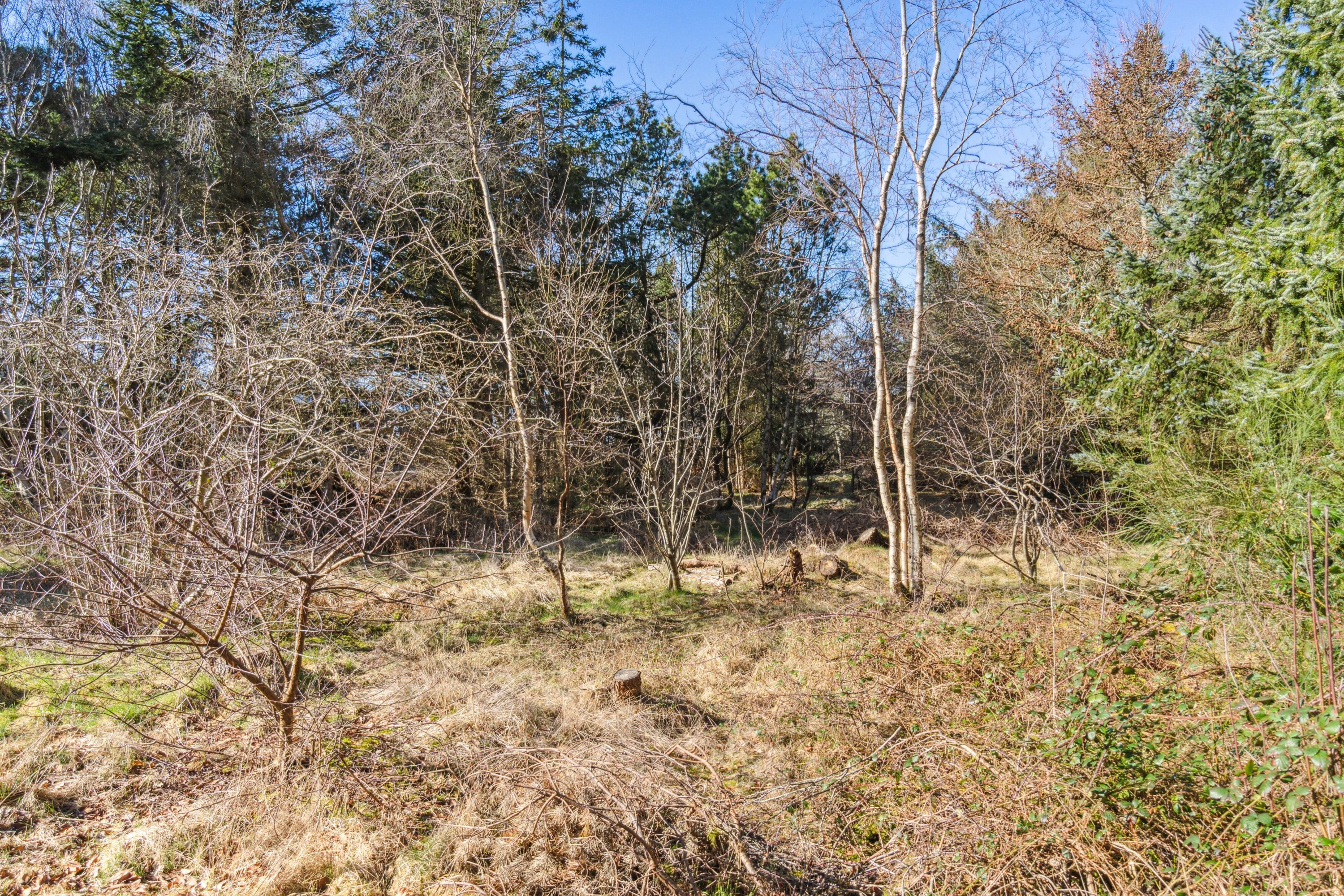 Fremhævet udendørs billede i fuldskærmstilstand. Billede af Strandskadevej 10, Helligsø, 7760 Hurup Thy