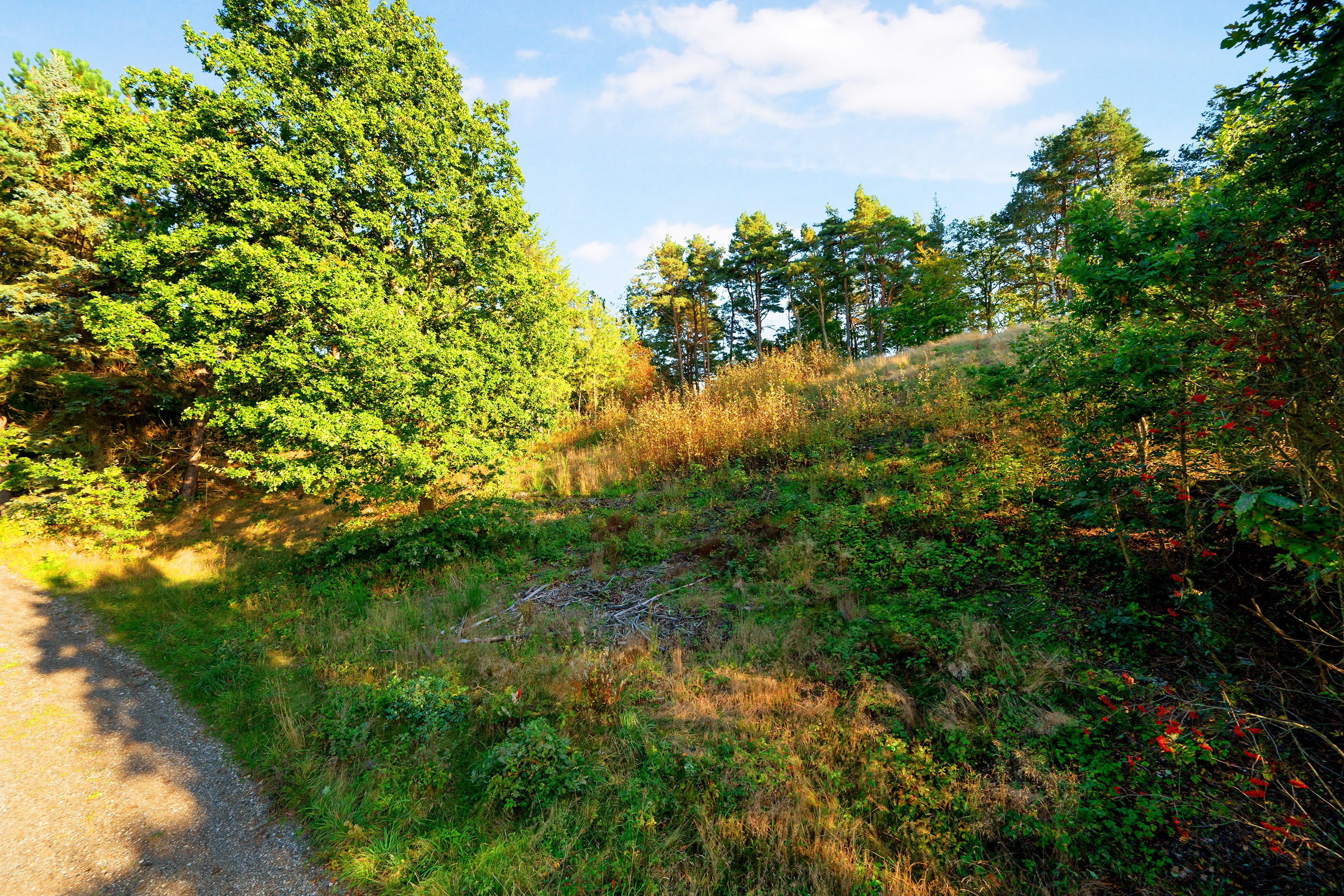 Fremhævet grund billede i fuldskærmstilstand. Billede af Klirevej 6, Handrup Strand, 8400 Ebeltoft