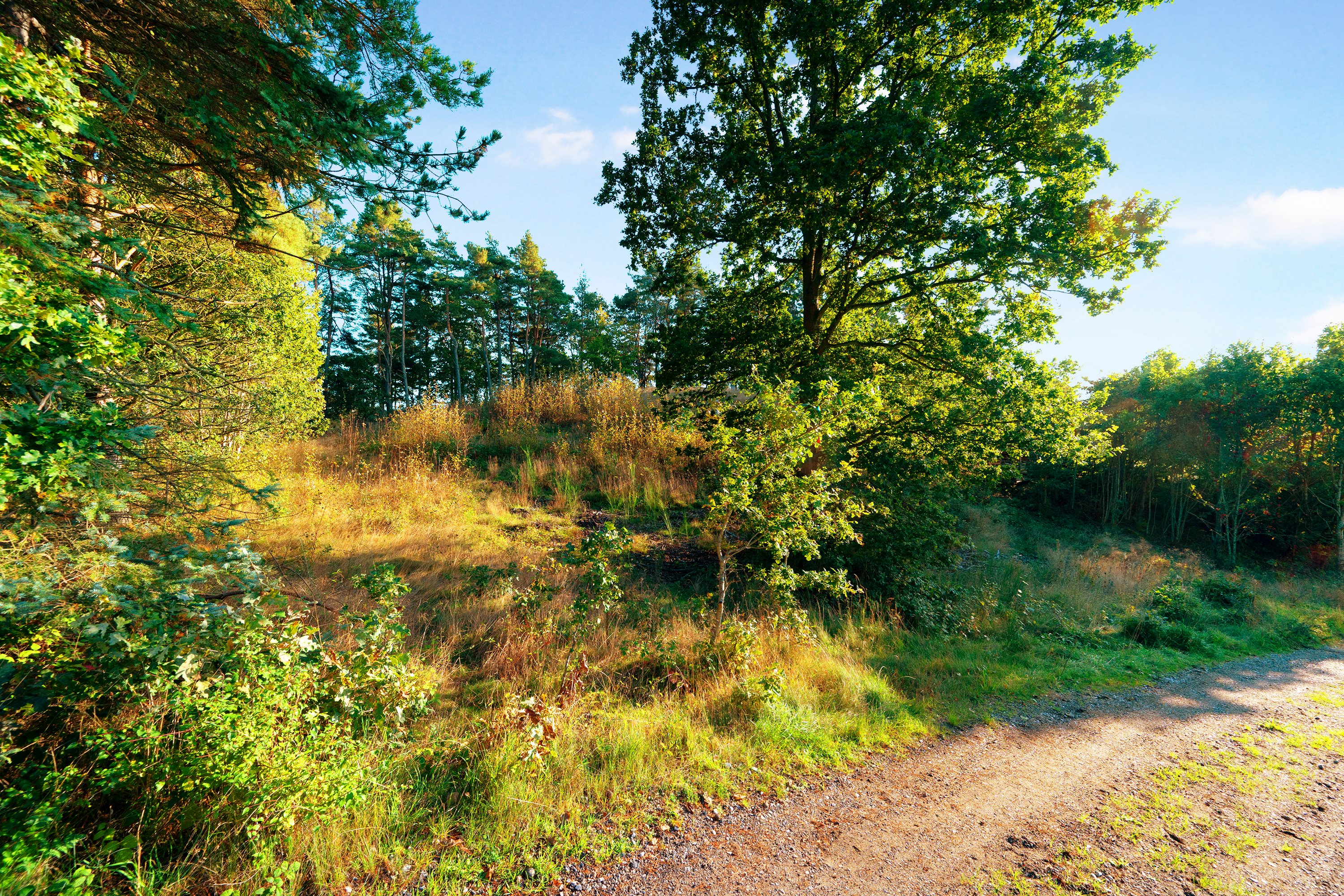 Fremhævet grund billede i fuldskærmstilstand. Billede af Klirevej 6, Handrup Strand, 8400 Ebeltoft