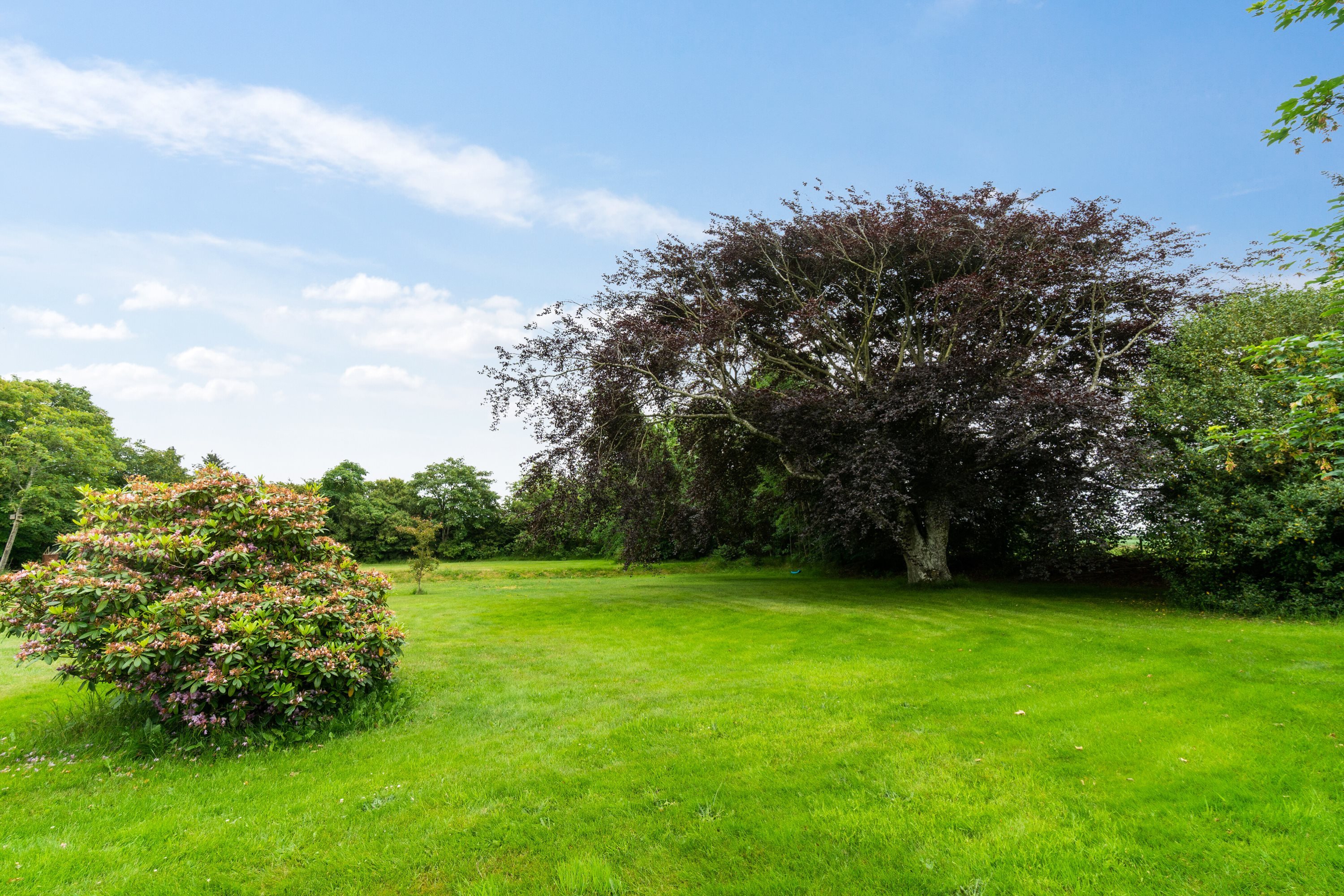 Fremhævet haven billede i fuldskærmstilstand. Billede af Kirkevej 34, 7741 Frøstrup