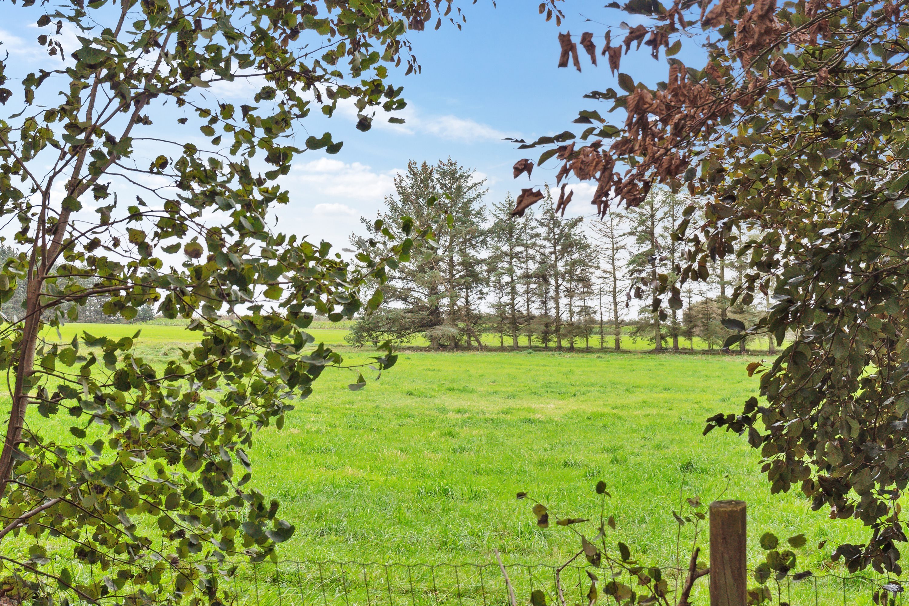 Fremhævet udsigt billede i fuldskærmstilstand. Billede af Kirkevej 34, 7741 Frøstrup