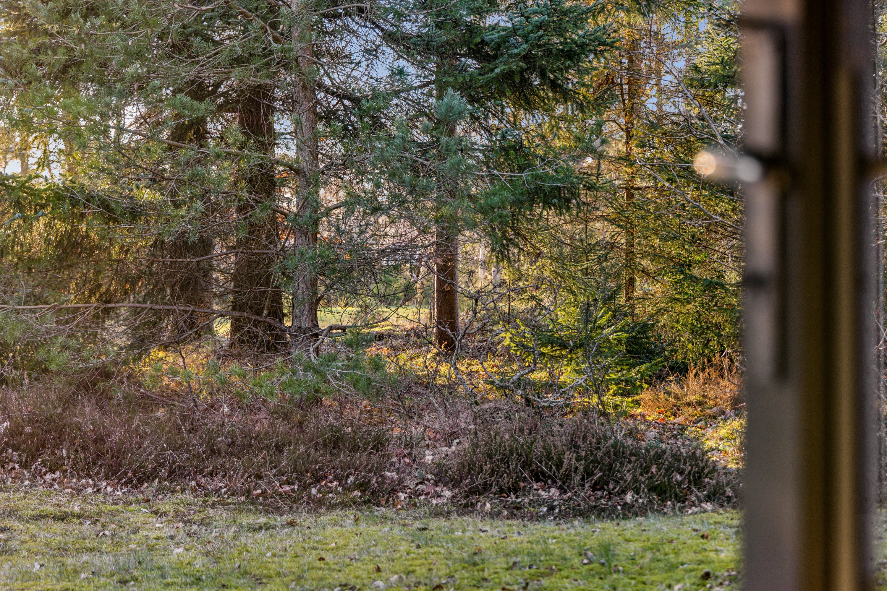 Fremhævet andet billede i fuldskærmstilstand. Billede af Skovvej 9, 9370 Hals