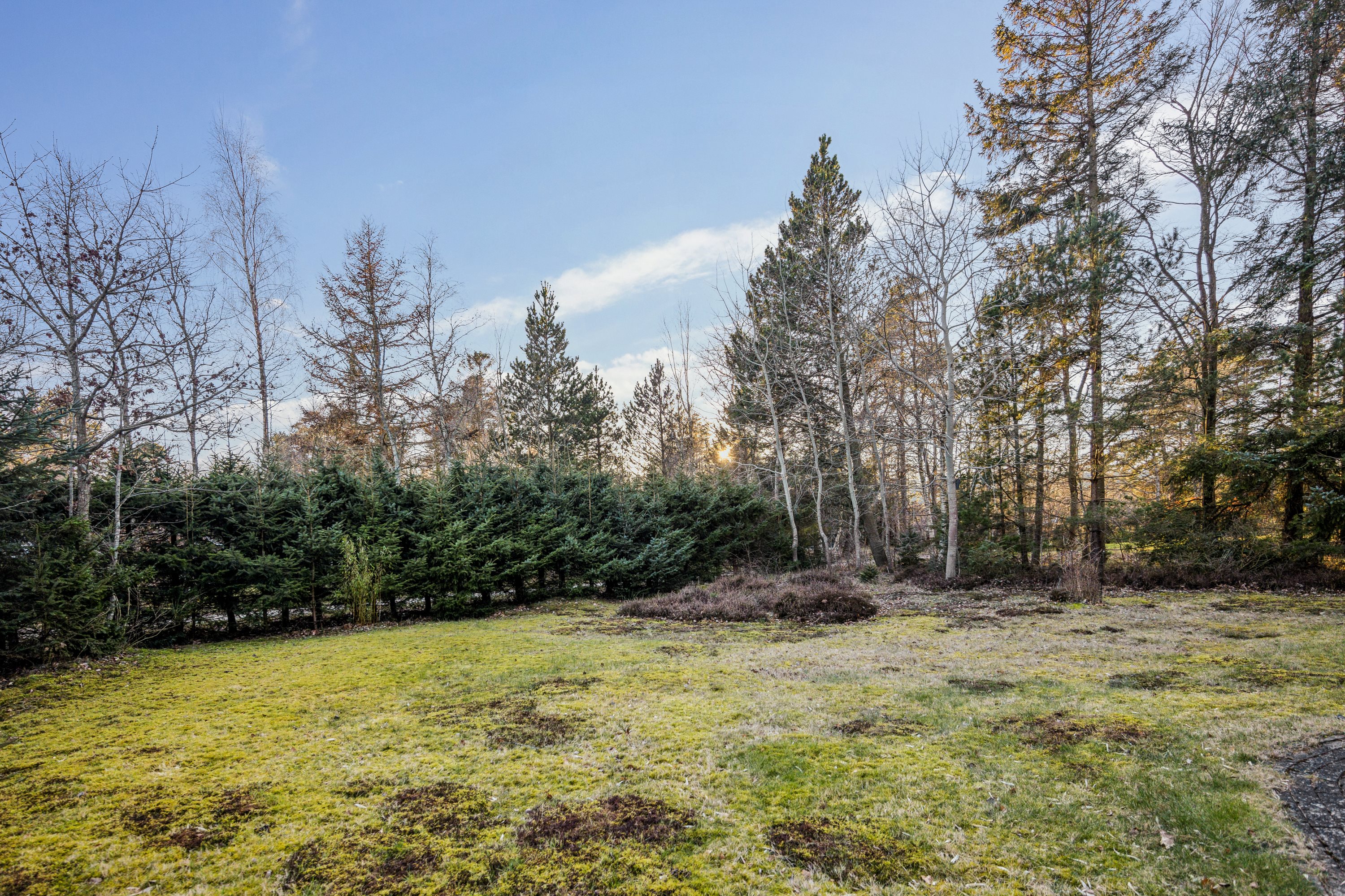 Fremhævet have billede i fuldskærmstilstand. Billede af Skovvej 9, 9370 Hals