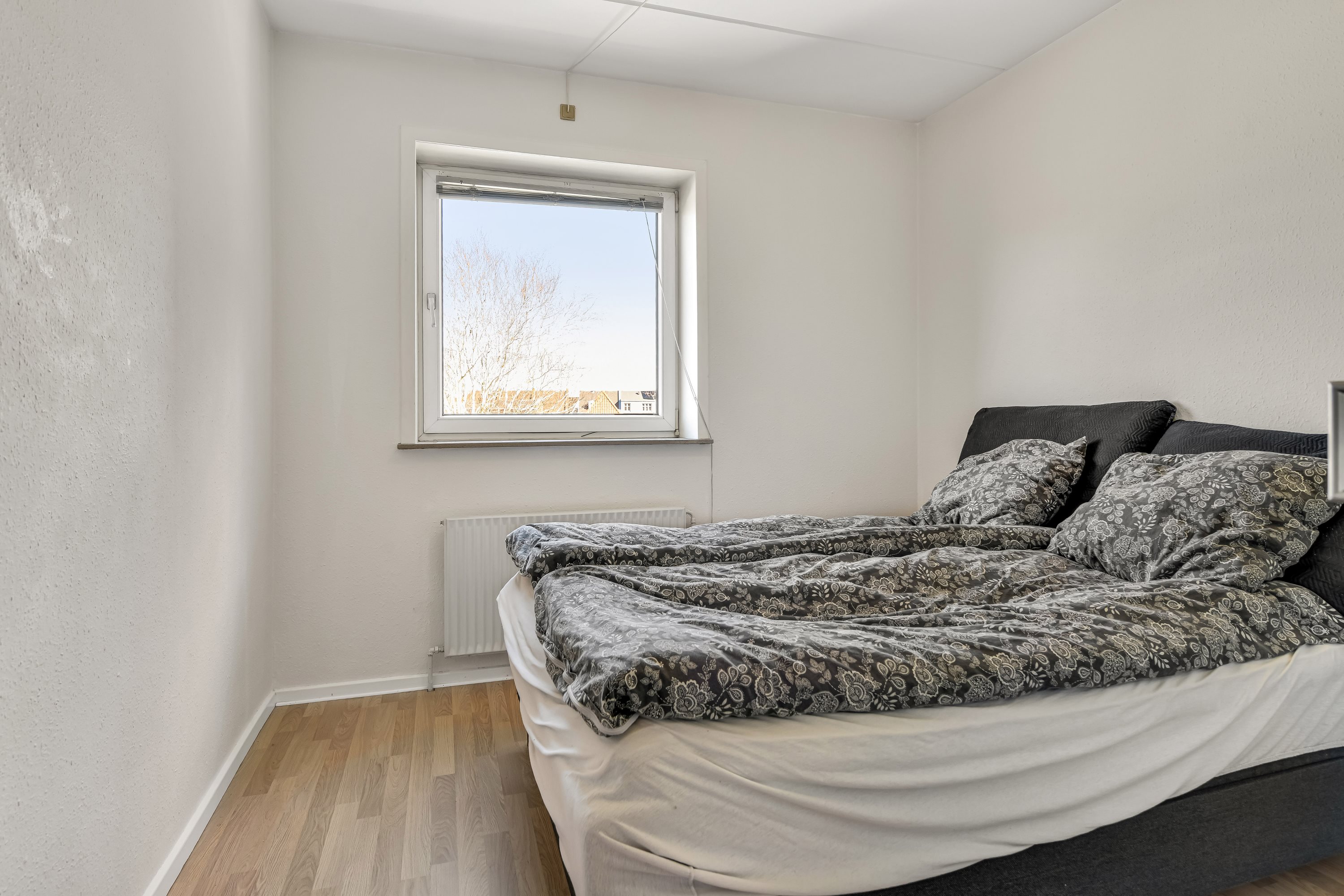 Fremhævet værelse billede i fuldskærmstilstand. Billede af Fynsgade 21, 1., 6700 Esbjerg