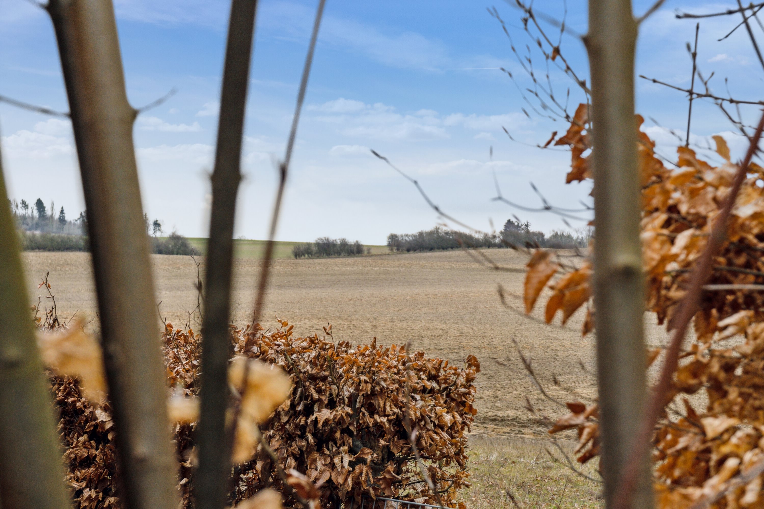 Fremhævet udendørs billede i fuldskærmstilstand. Billede af Viemose Gade 89, 4771 Kalvehave