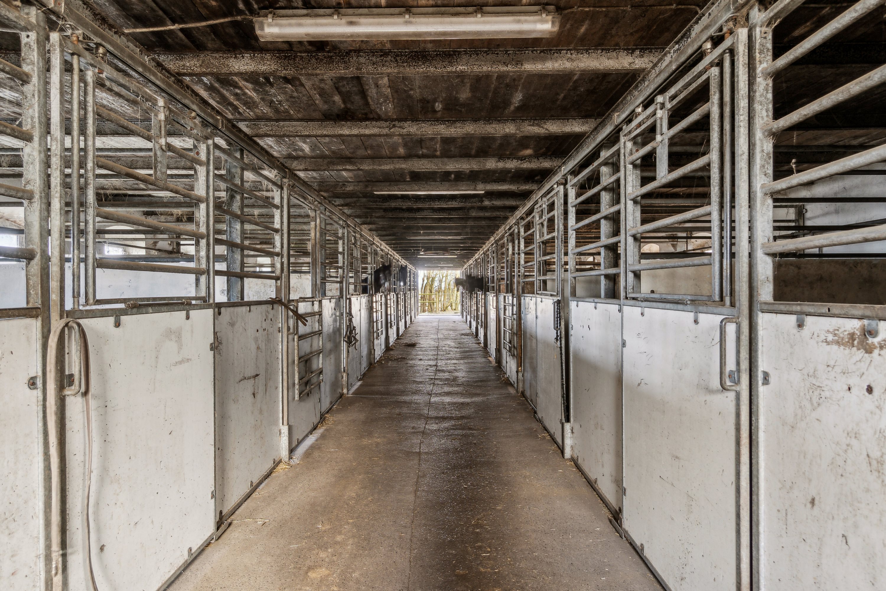 Fremhævet stald billede i fuldskærmstilstand. Billede af Åsvej 4, Silstrup, 7700 Thisted