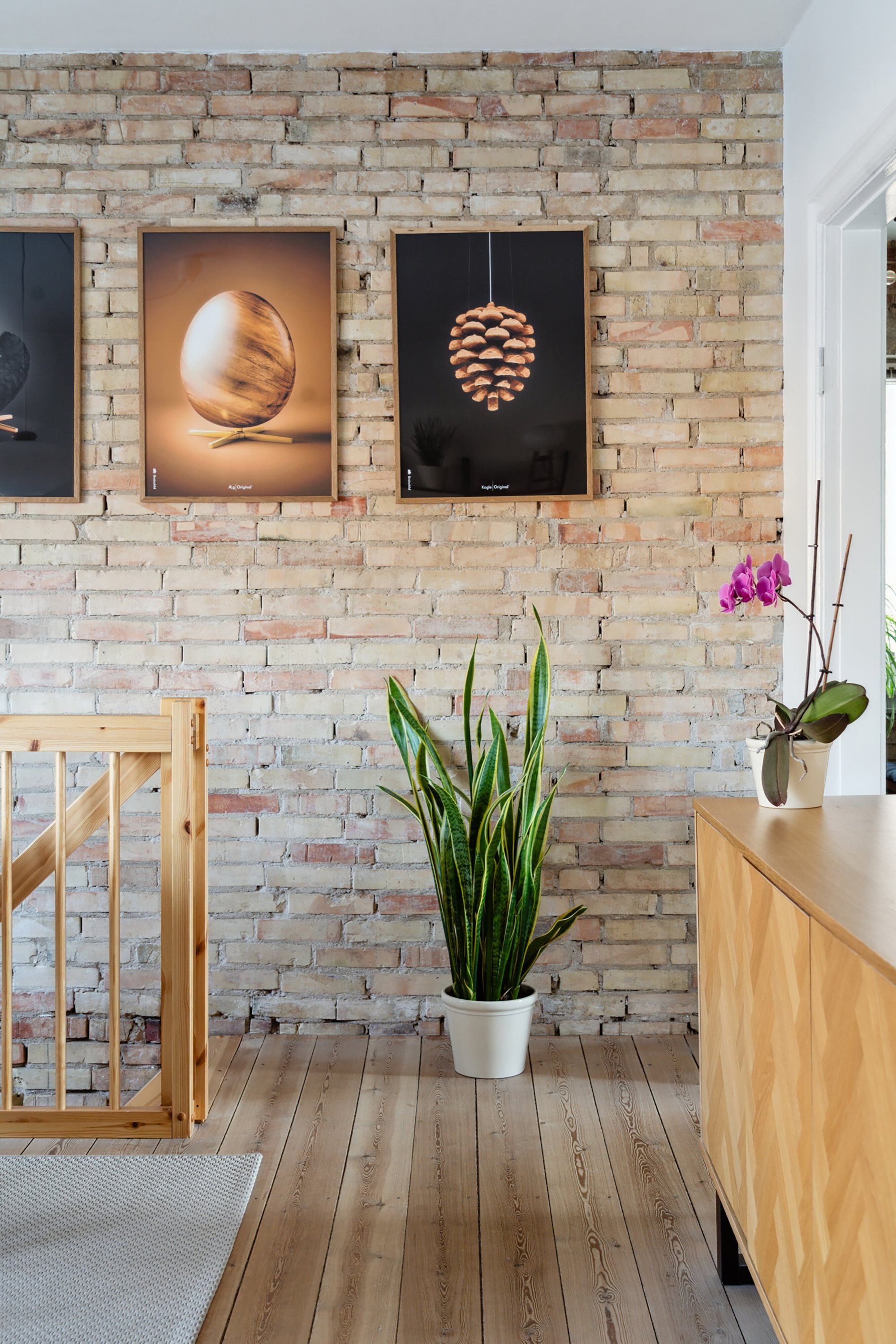 Fremhævet indendørs billede i fuldskærmstilstand. Billede af Åløkke Allé 51, st.., 5000 Odense C