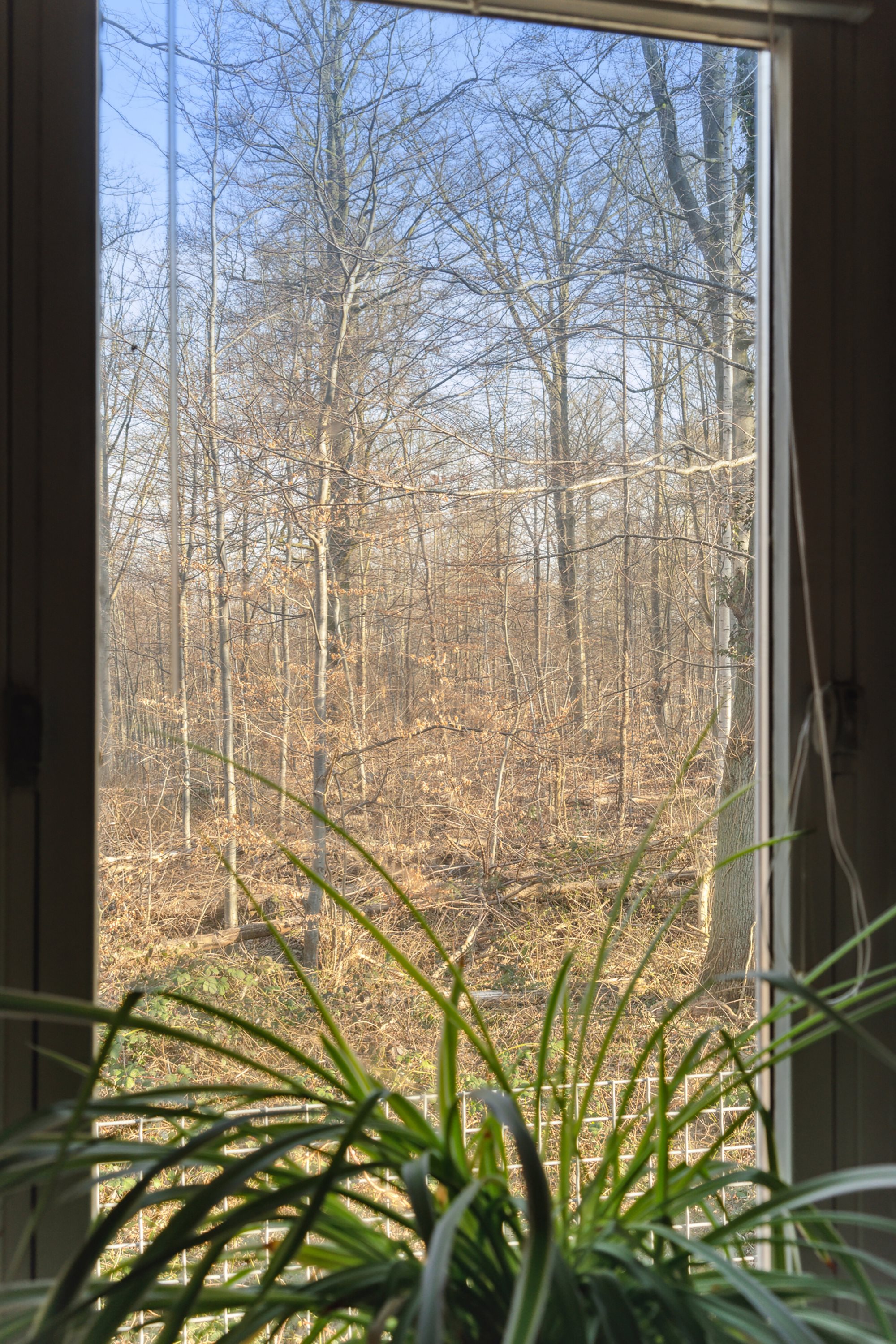 Fremhævet indendørs billede i fuldskærmstilstand. Billede af Åløkke Allé 51, st.., 5000 Odense C