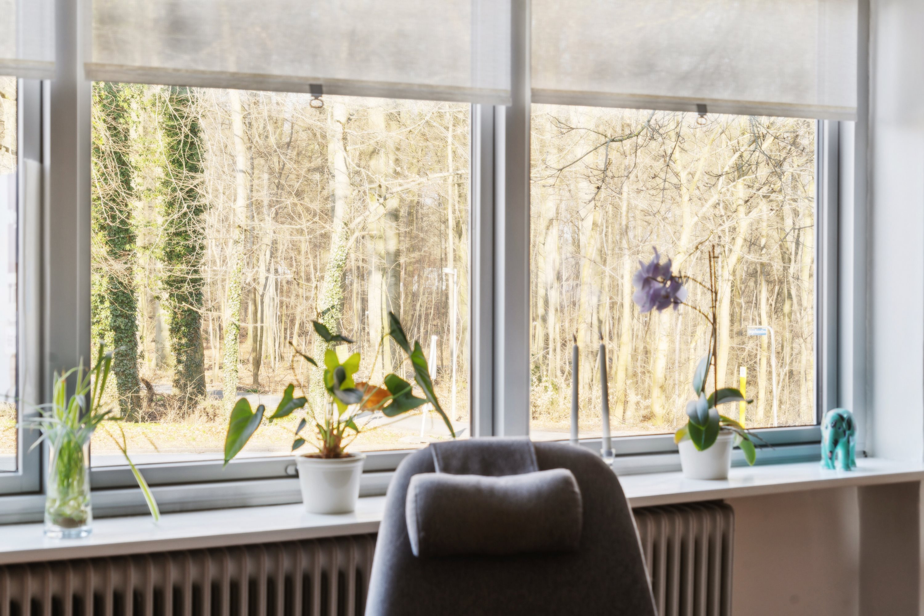 Fremhævet udsigt billede i fuldskærmstilstand. Billede af Åløkke Allé 51, st.., 5000 Odense C