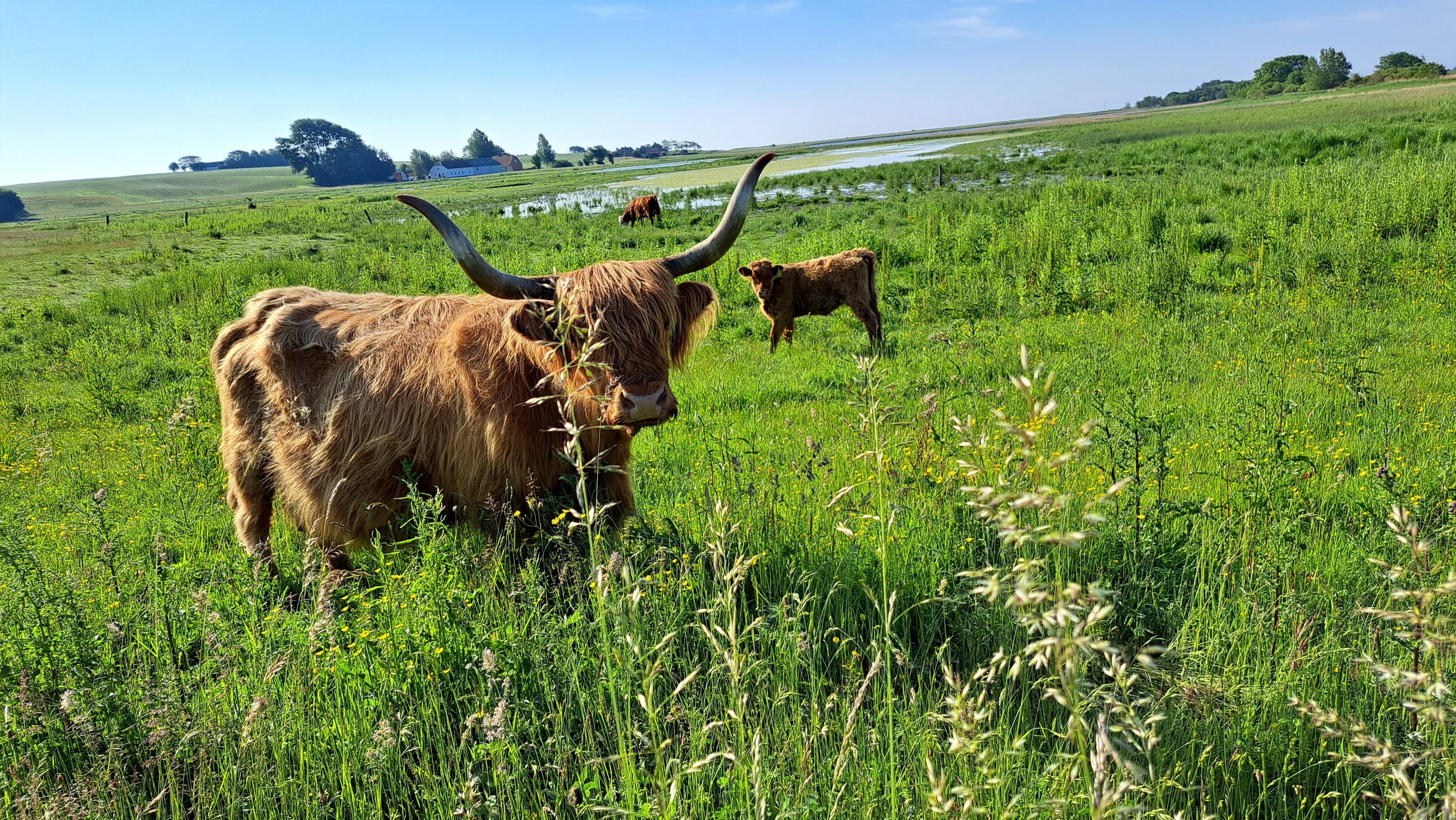 Fremhævet  billede i fuldskærmstilstand. Billede af Fyrvej 14, 4245 Omø