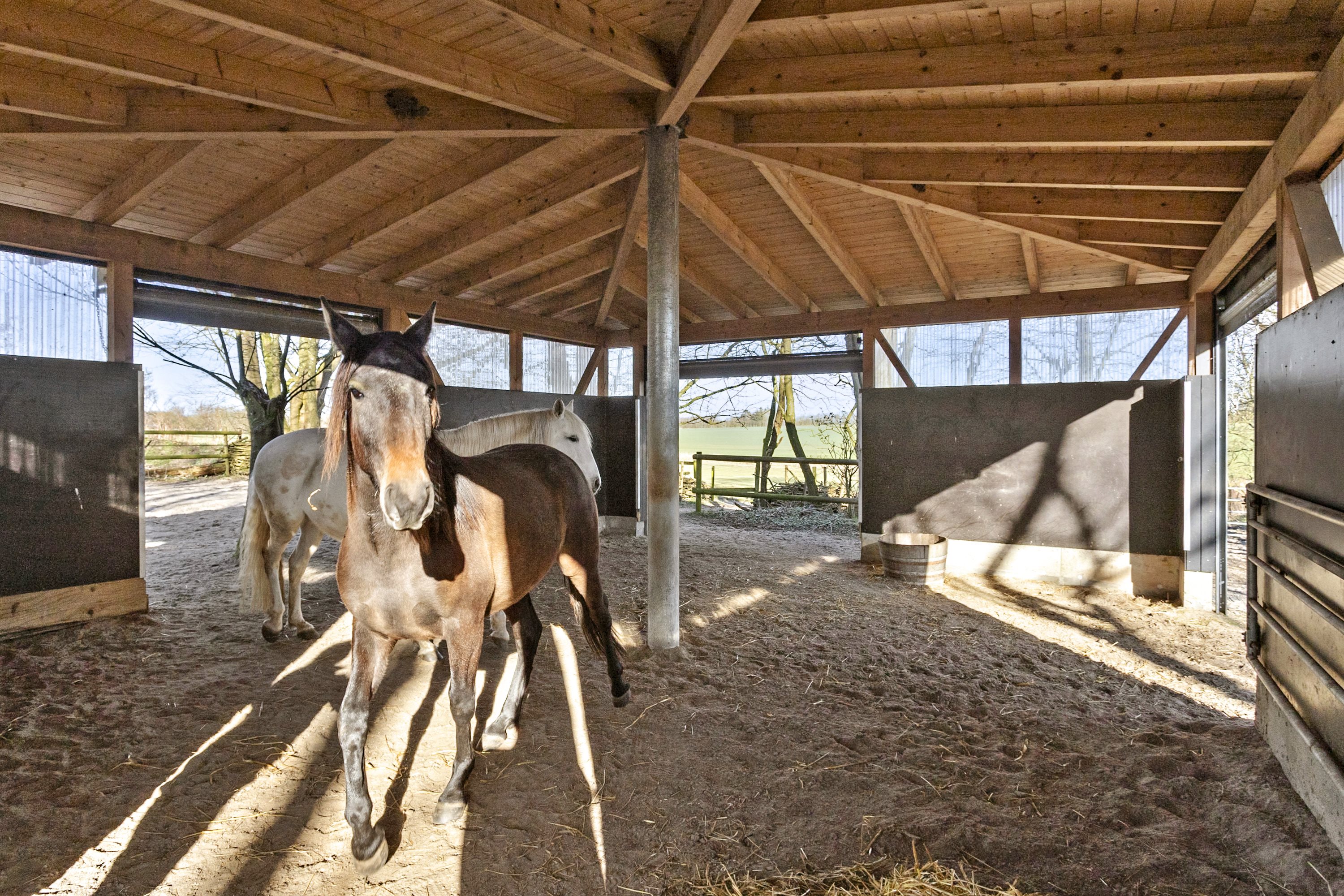 Fremhævet område billede i fuldskærmstilstand. Billede af Maltvej 94, Malt, 6600 Vejen