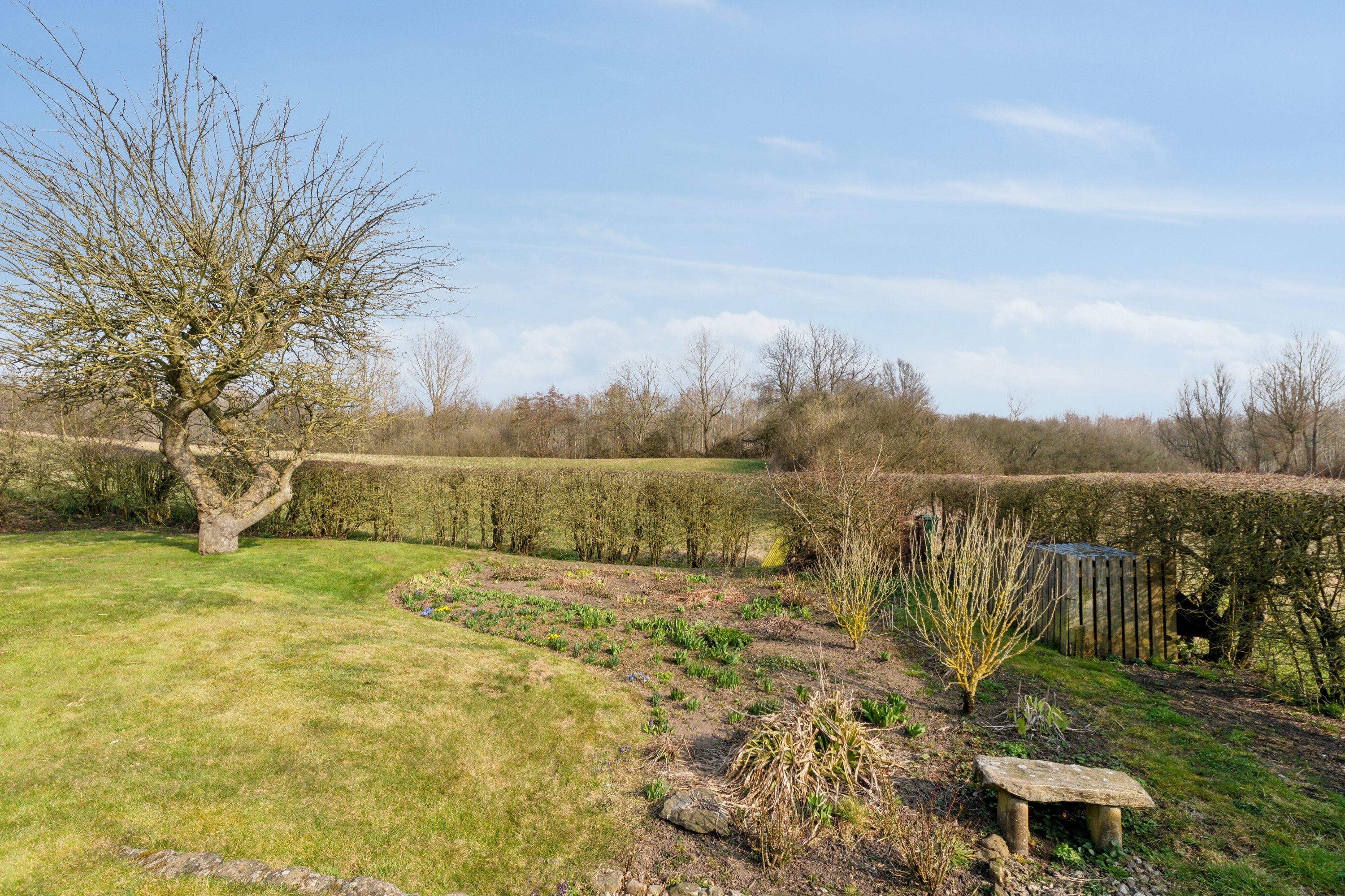 Fremhævet set fra haven billede i fuldskærmstilstand. Billede af Brændeskovvej 18, Tved, 5700 Svendborg