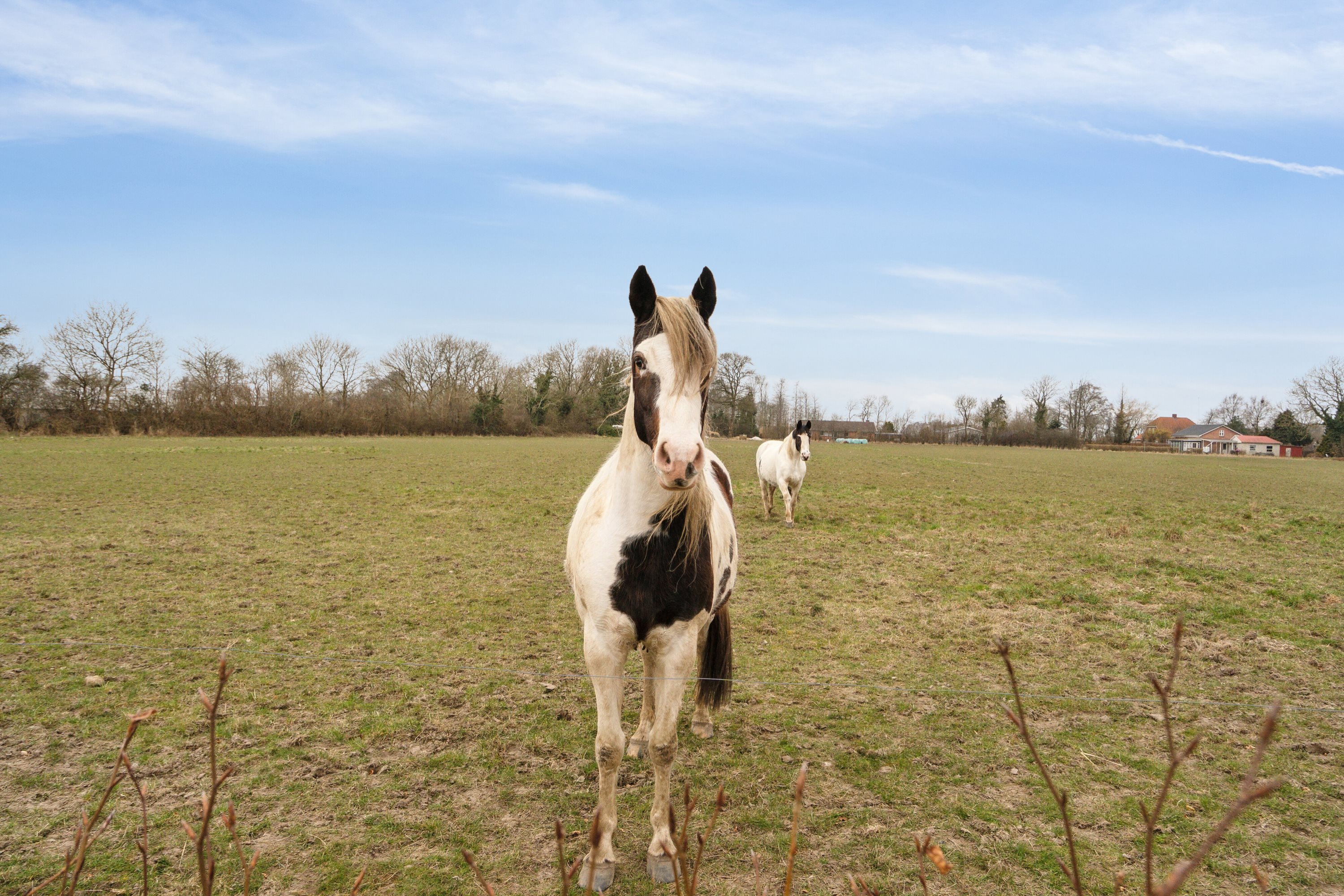 Fremhævet udendørs billede i fuldskærmstilstand. Billede af Skravevej 2, Københoved, 6630 Rødding