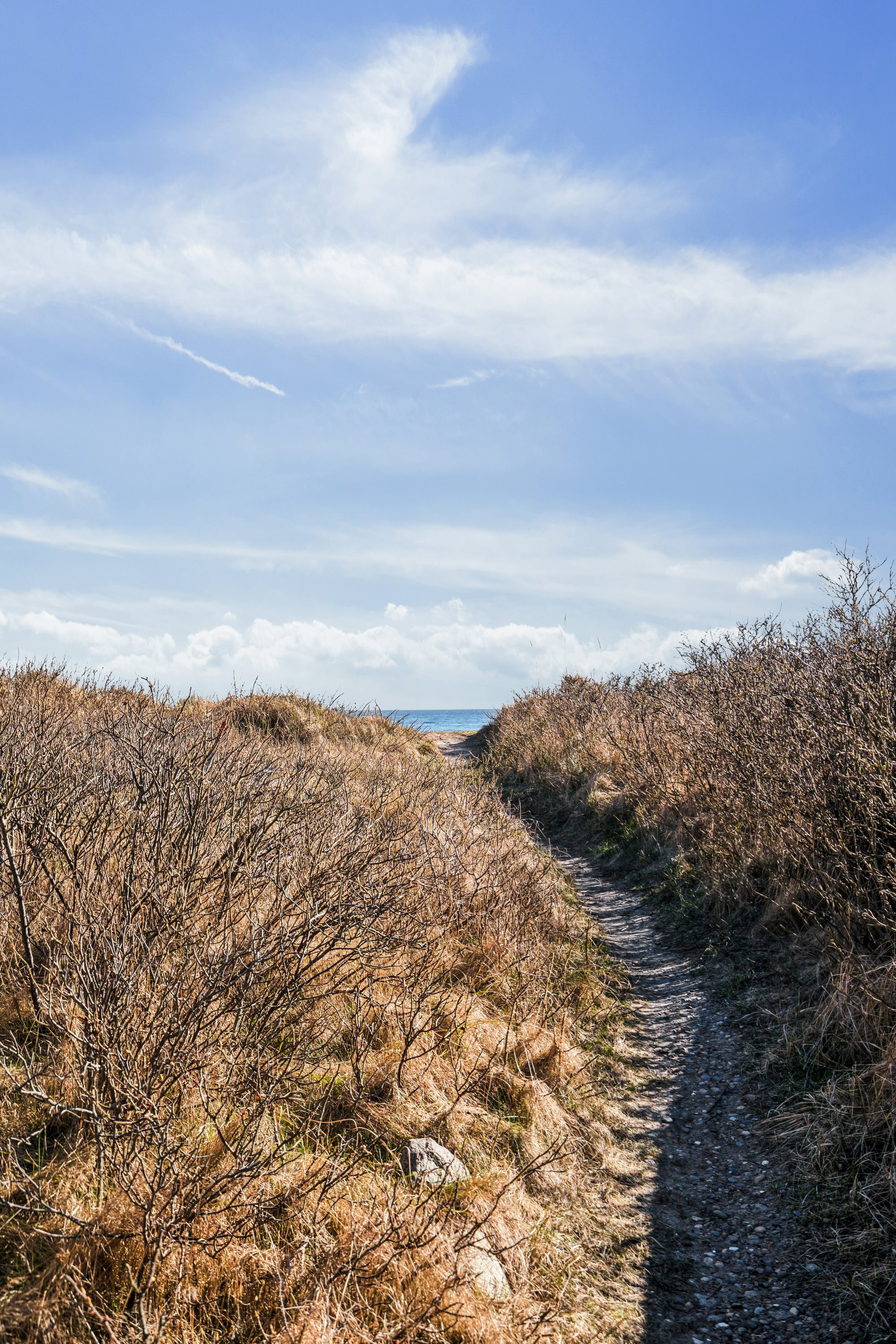 Fremhævet ejendom 1 billede i fuldskærmstilstand. Billede af Lodsvej 4, Vesterby, 9990 Skagen