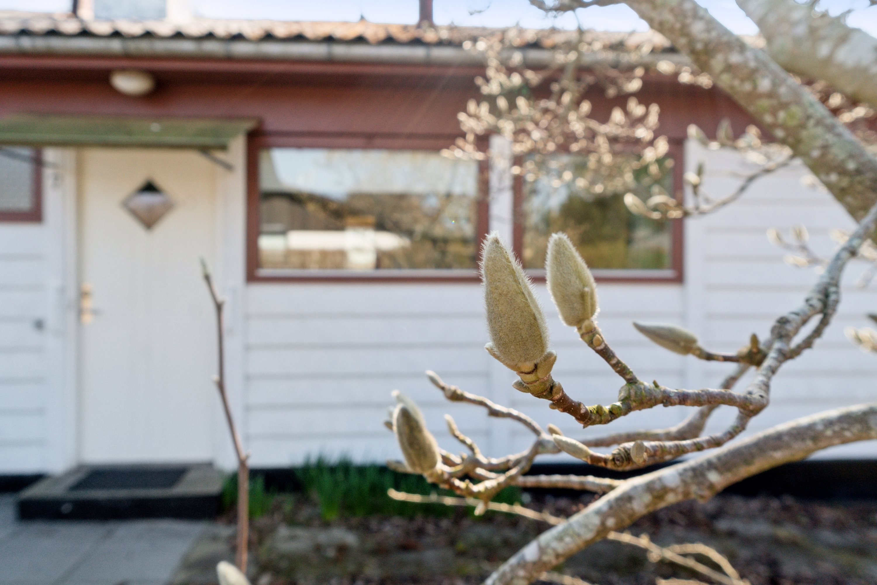 Fremhævet udendørs billede i fuldskærmstilstand. Billede af Buen 7, Lobbæk, 3720 Aakirkeby