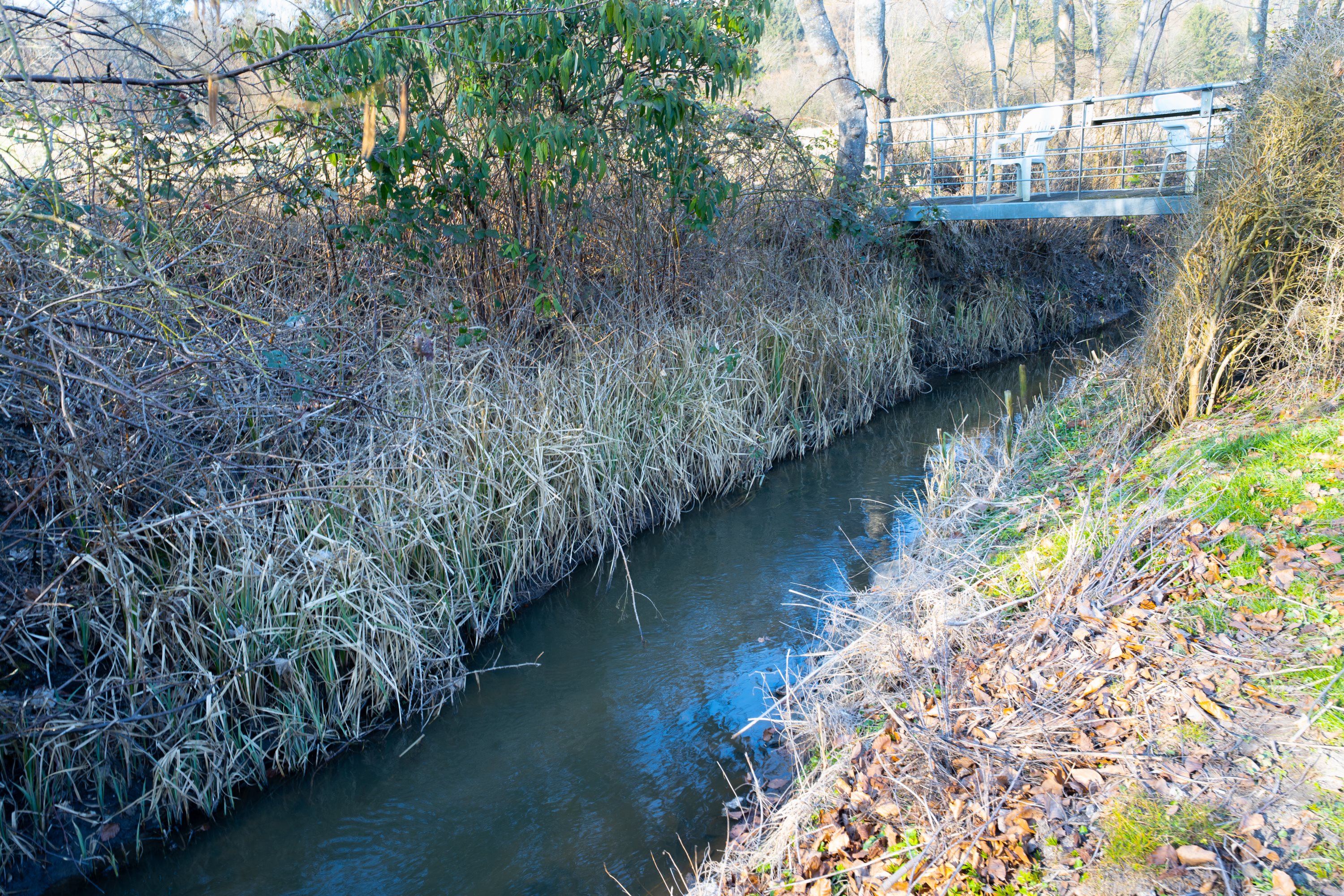 Miniaturebillede 2: . Billede af Skalbjergvej 32, 5492 Vissenbjerg