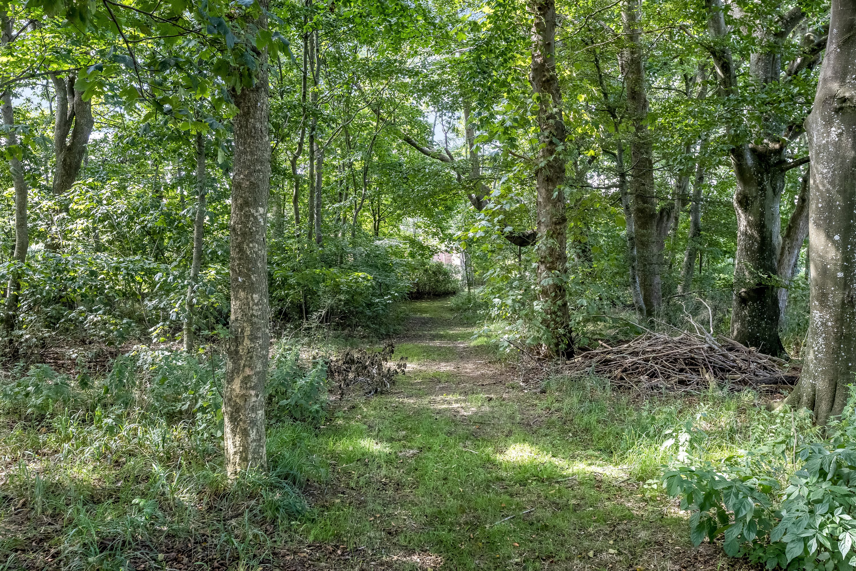 Fremhævet andet billede i fuldskærmstilstand. Billede af Mejerholmvej 1, 6270 Tønder