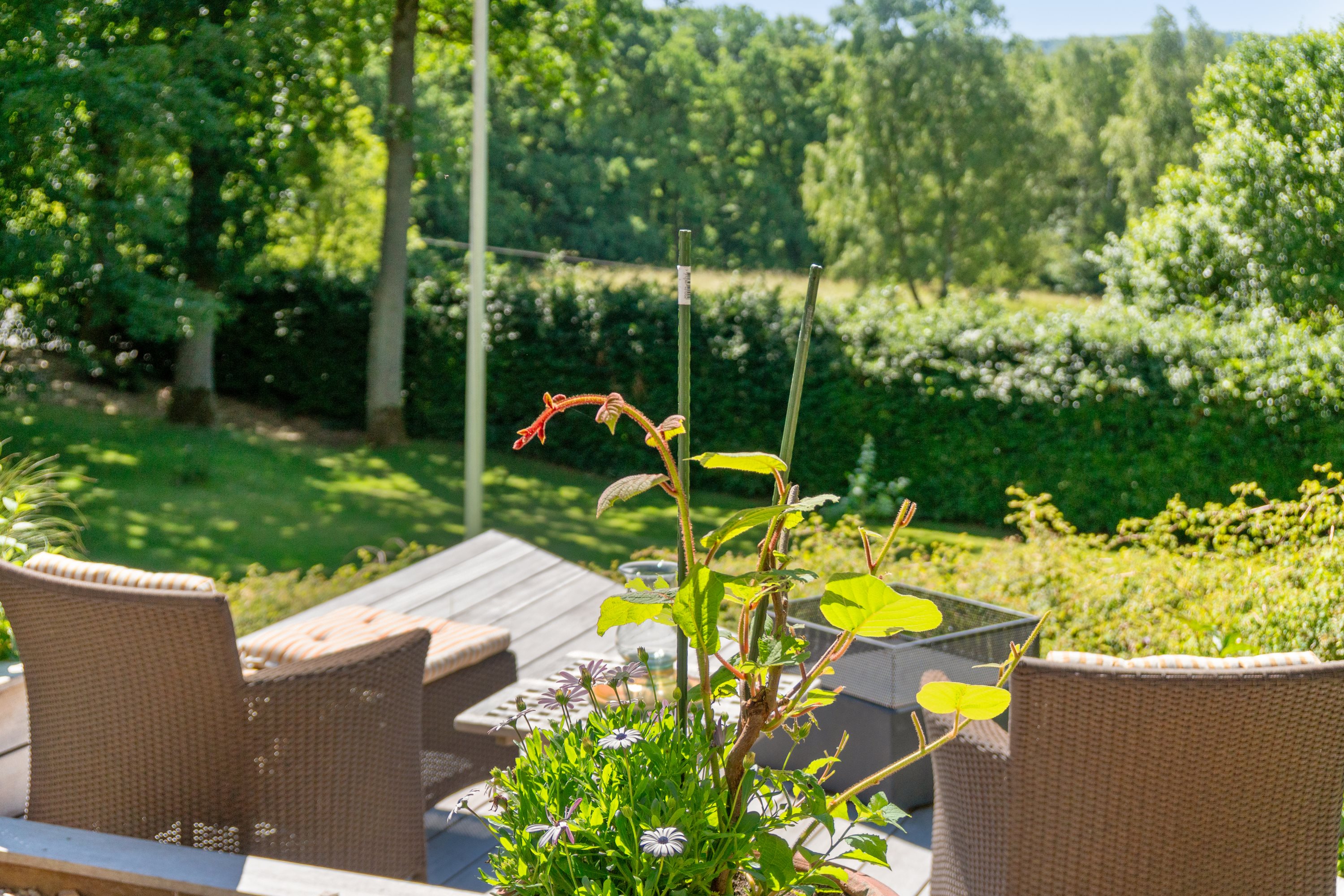 Fremhævet  billede i fuldskærmstilstand. Billede af Gimlesvej 1A, 8600 Silkeborg