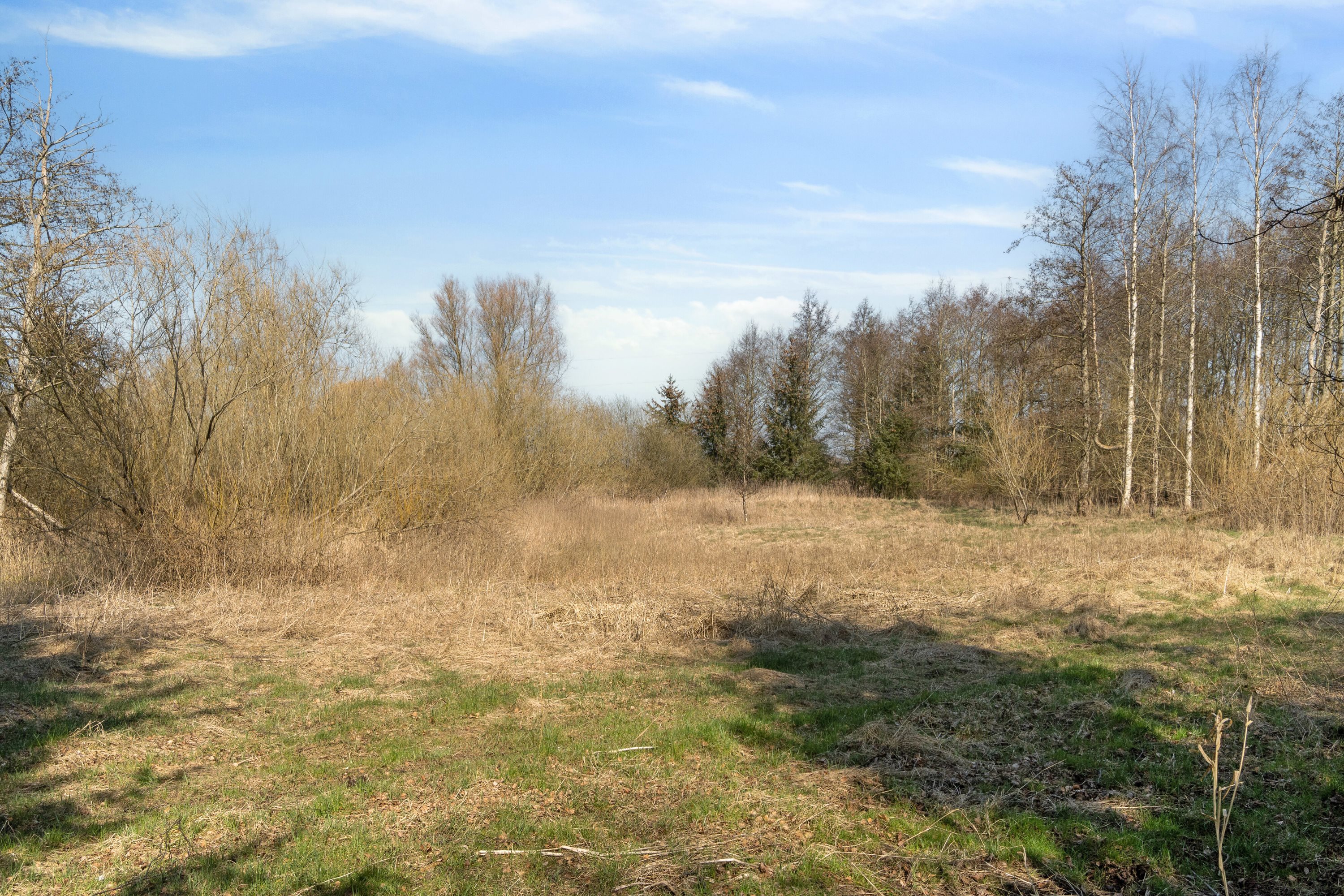 Fremhævet udendørs billede i fuldskærmstilstand. Billede af Merløsevej 25, 4370 Store Merløse