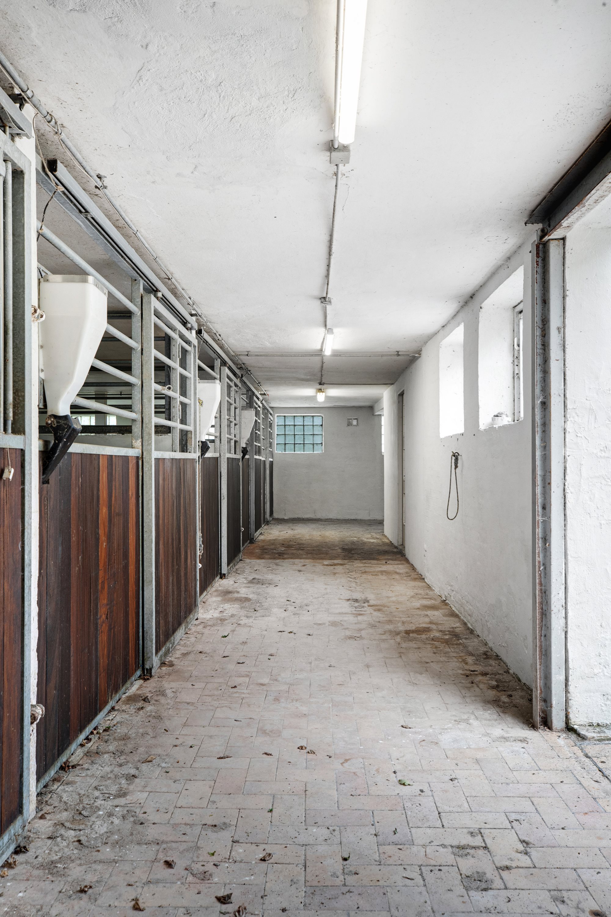 Fremhævet stald billede i fuldskærmstilstand. Billede af Buskmosevej 14, Rinkenæs, 6300 Gråsten