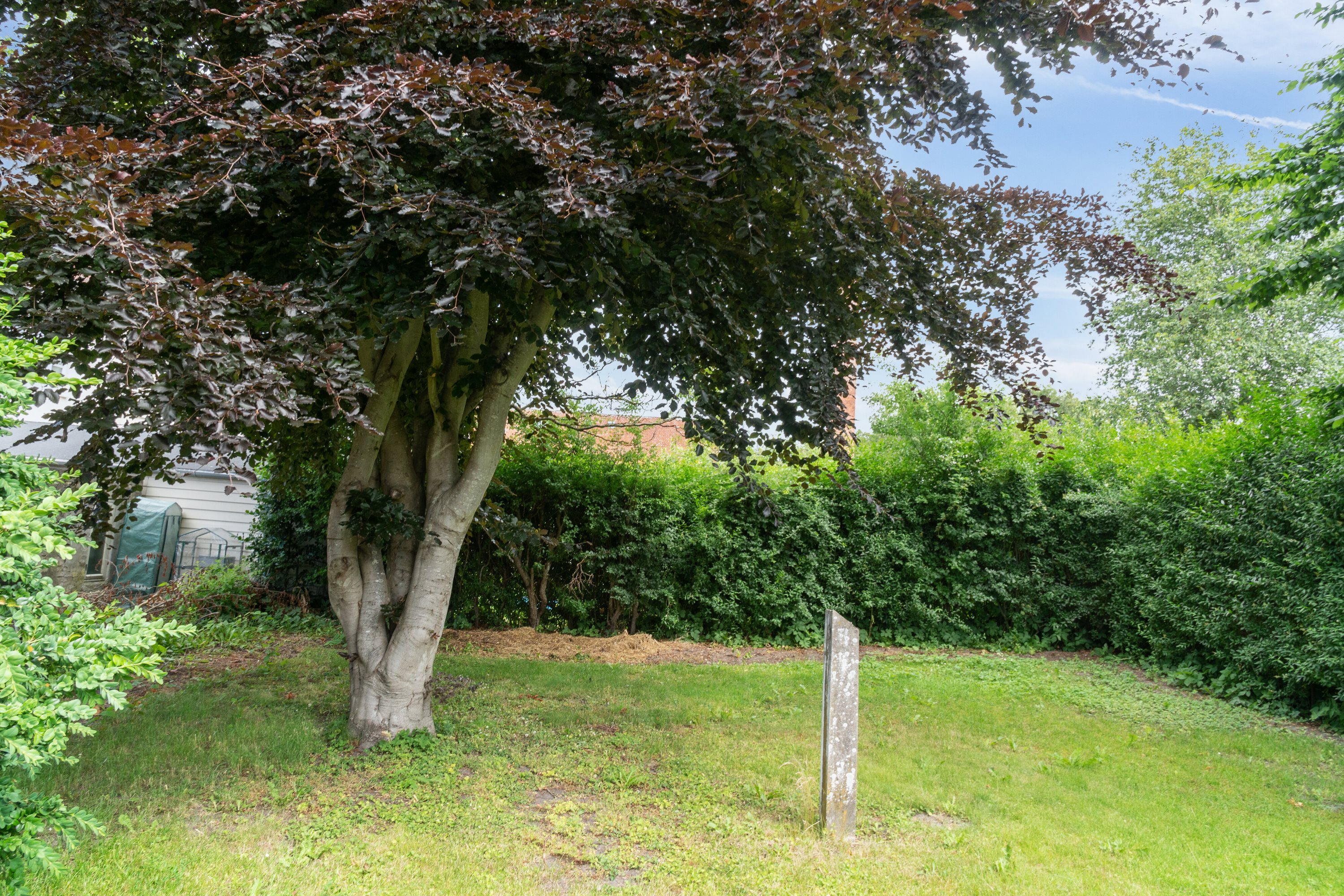 Fremhævet  billede i fuldskærmstilstand. Billede af Sct.Knudsgade 12, 4200 Slagelse