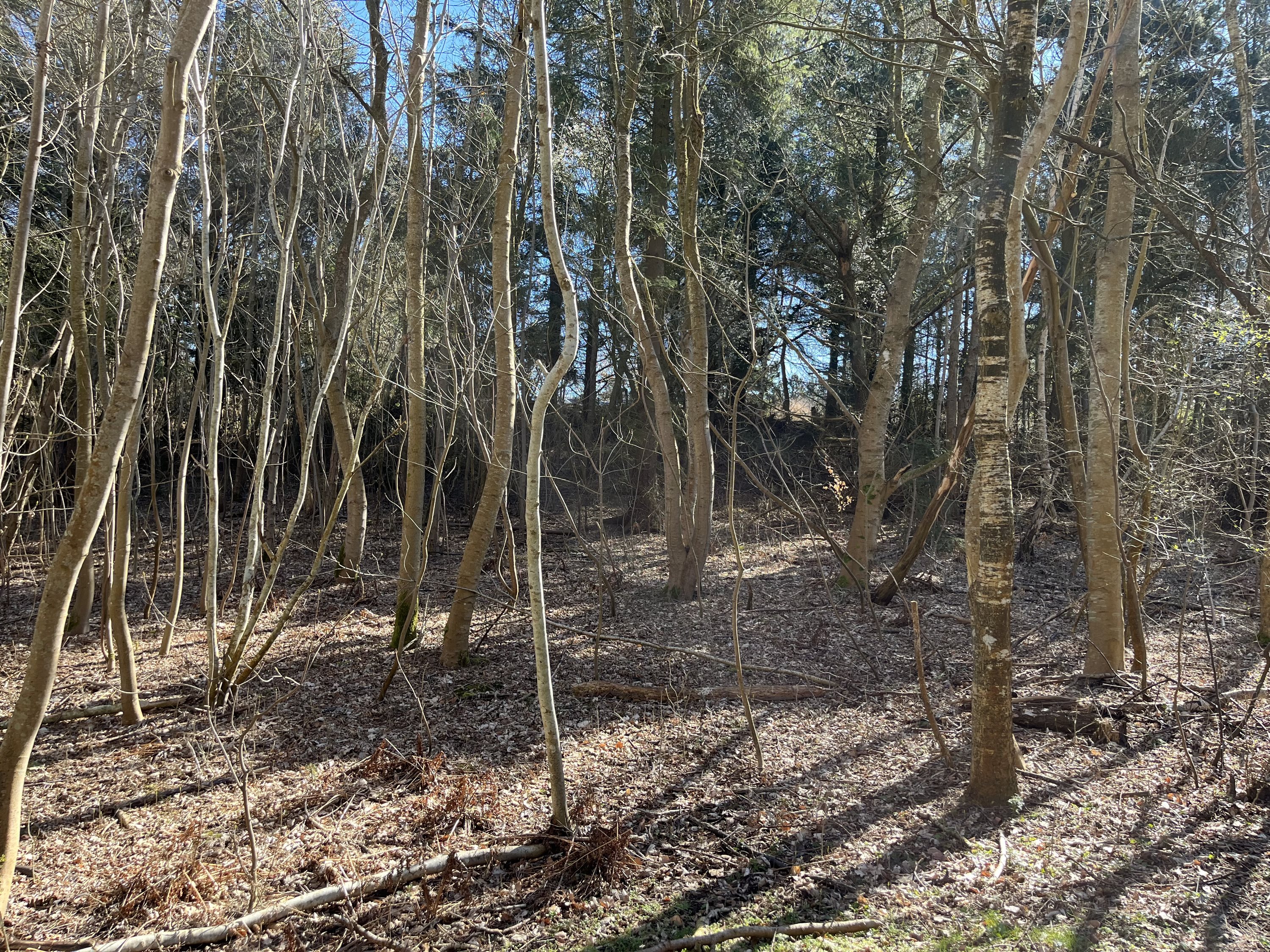 Miniaturebillede 2: . Billede af Skibstedvej 11, Ydby, 7760 Hurup Thy