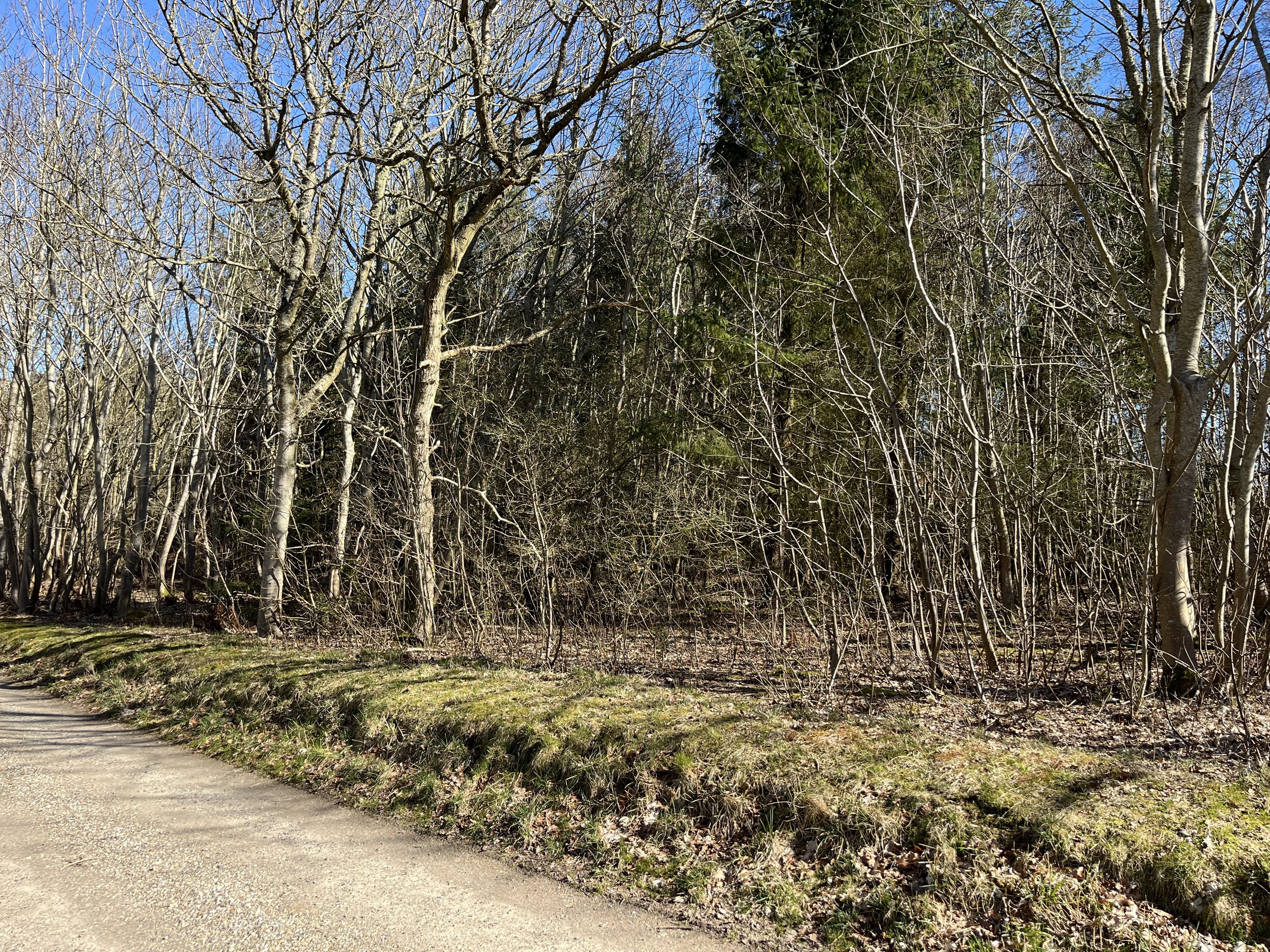 Miniaturebillede 1: . Billede af Skibstedvej 11, Ydby, 7760 Hurup Thy