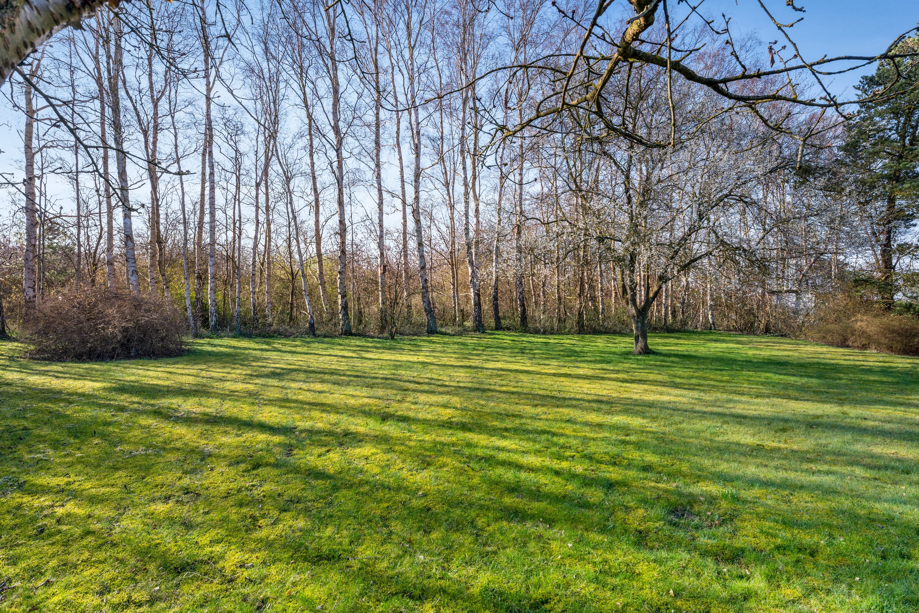 Fremhævet have billede i fuldskærmstilstand. Billede af Askø Strandvig 84, 4942 Askø