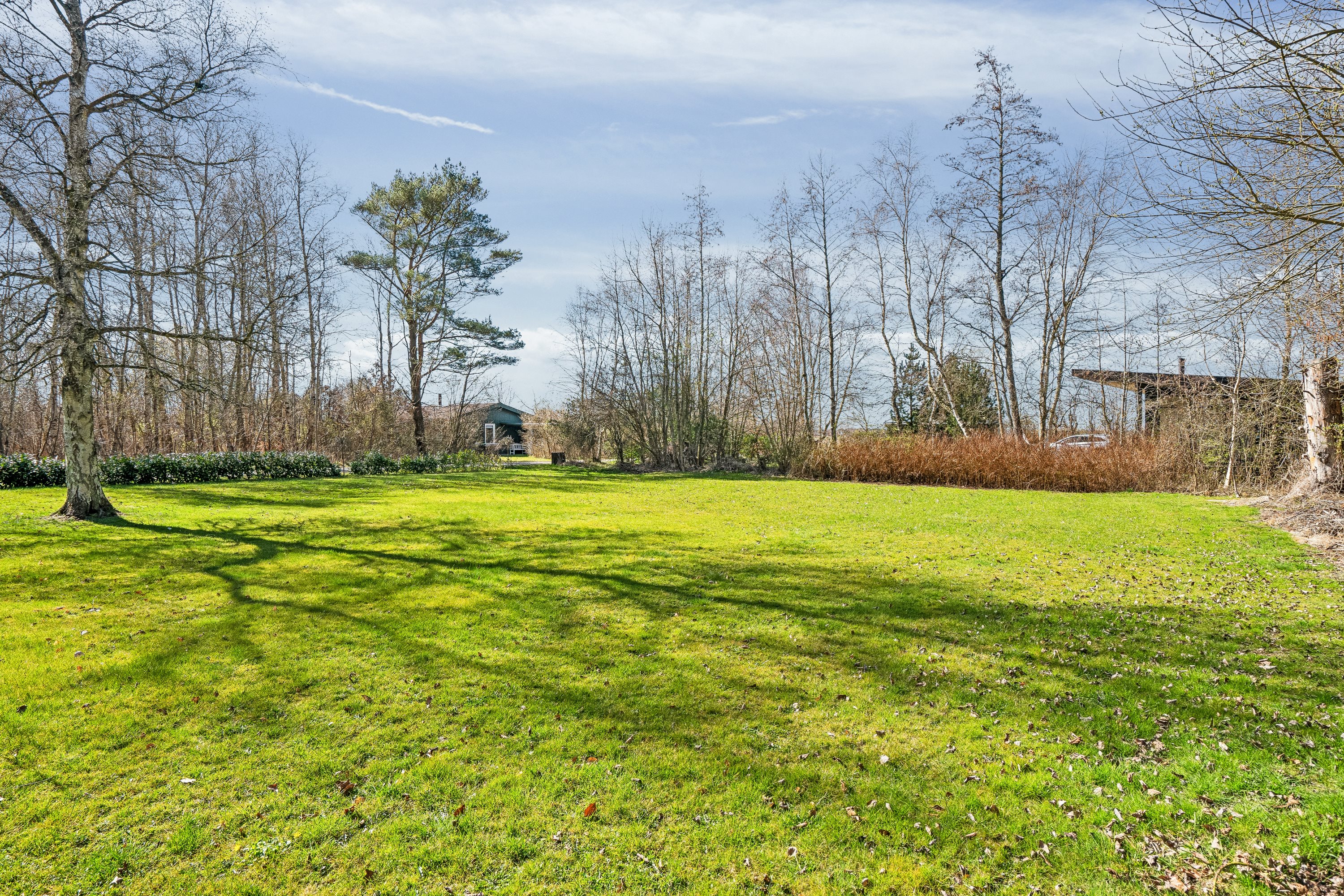 Fremhævet  billede i fuldskærmstilstand. Billede af Sletten 81, Odde, 9560 Hadsund