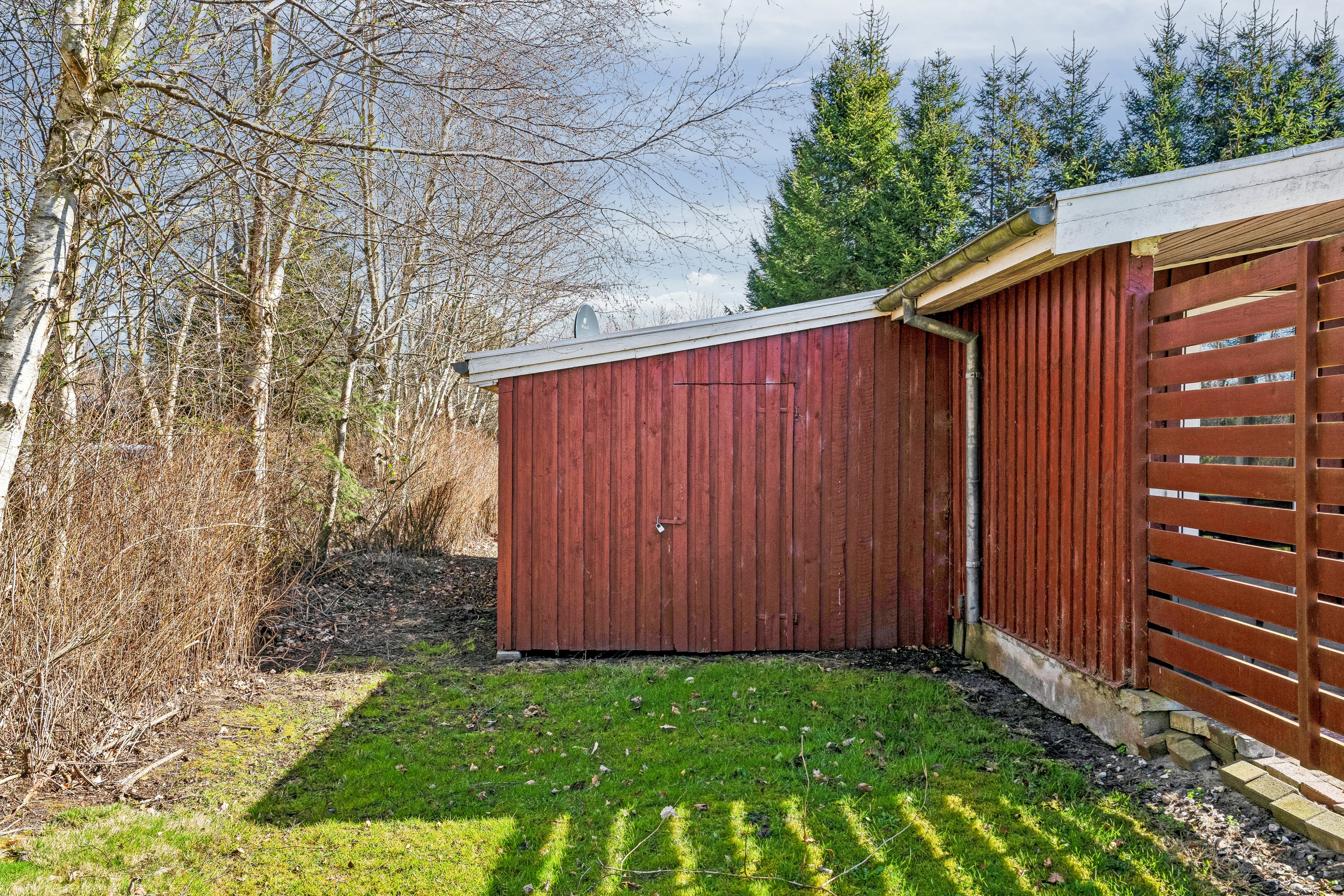 Fremhævet  billede i fuldskærmstilstand. Billede af Sletten 81, Odde, 9560 Hadsund