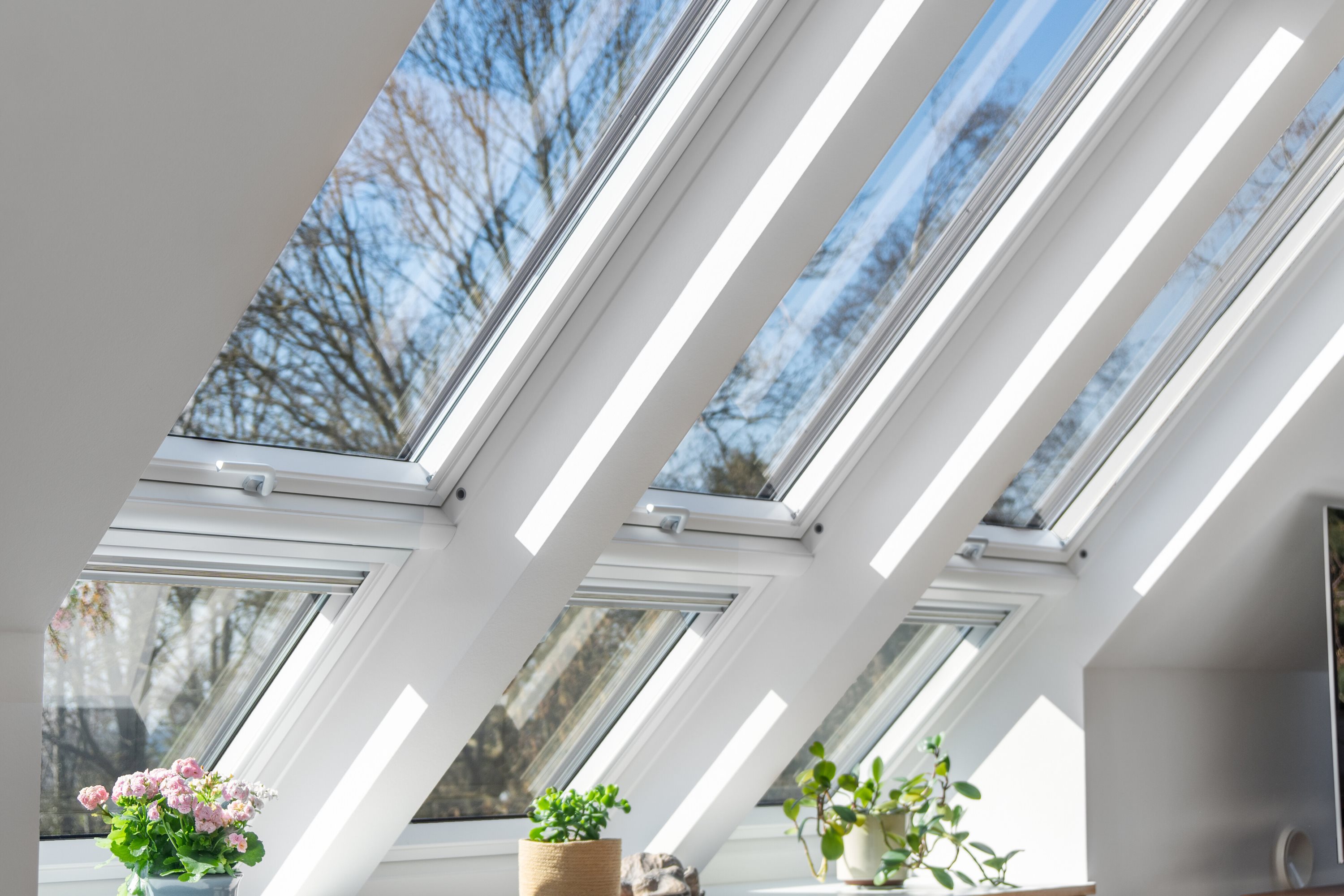 Fremhævet indendørs billede i fuldskærmstilstand. Billede af Stenbukken 16, 5700 Svendborg