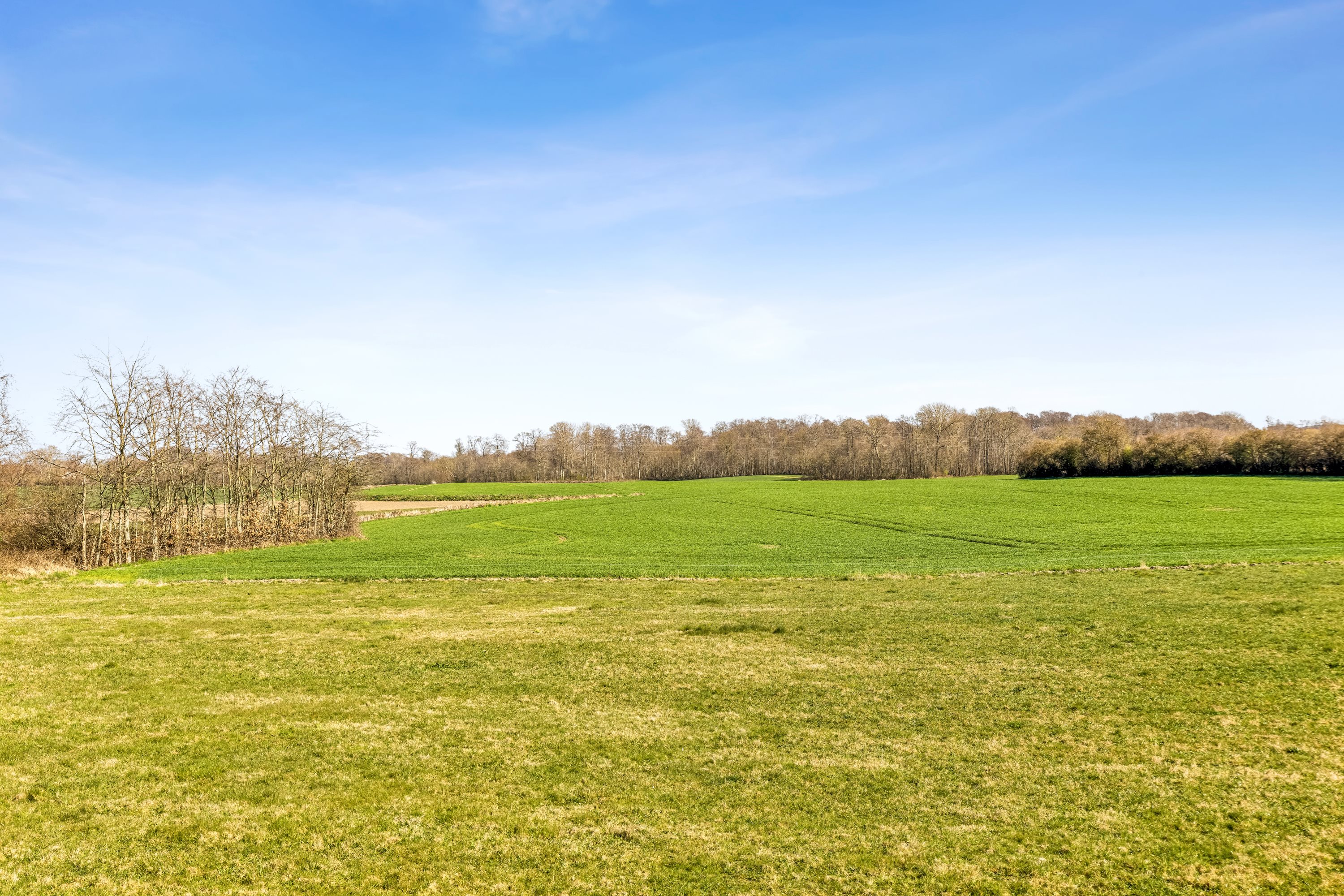 Fremhævet have billede i fuldskærmstilstand. Billede af Fruerhøj 10, Sjellerup, 6430 Nordborg