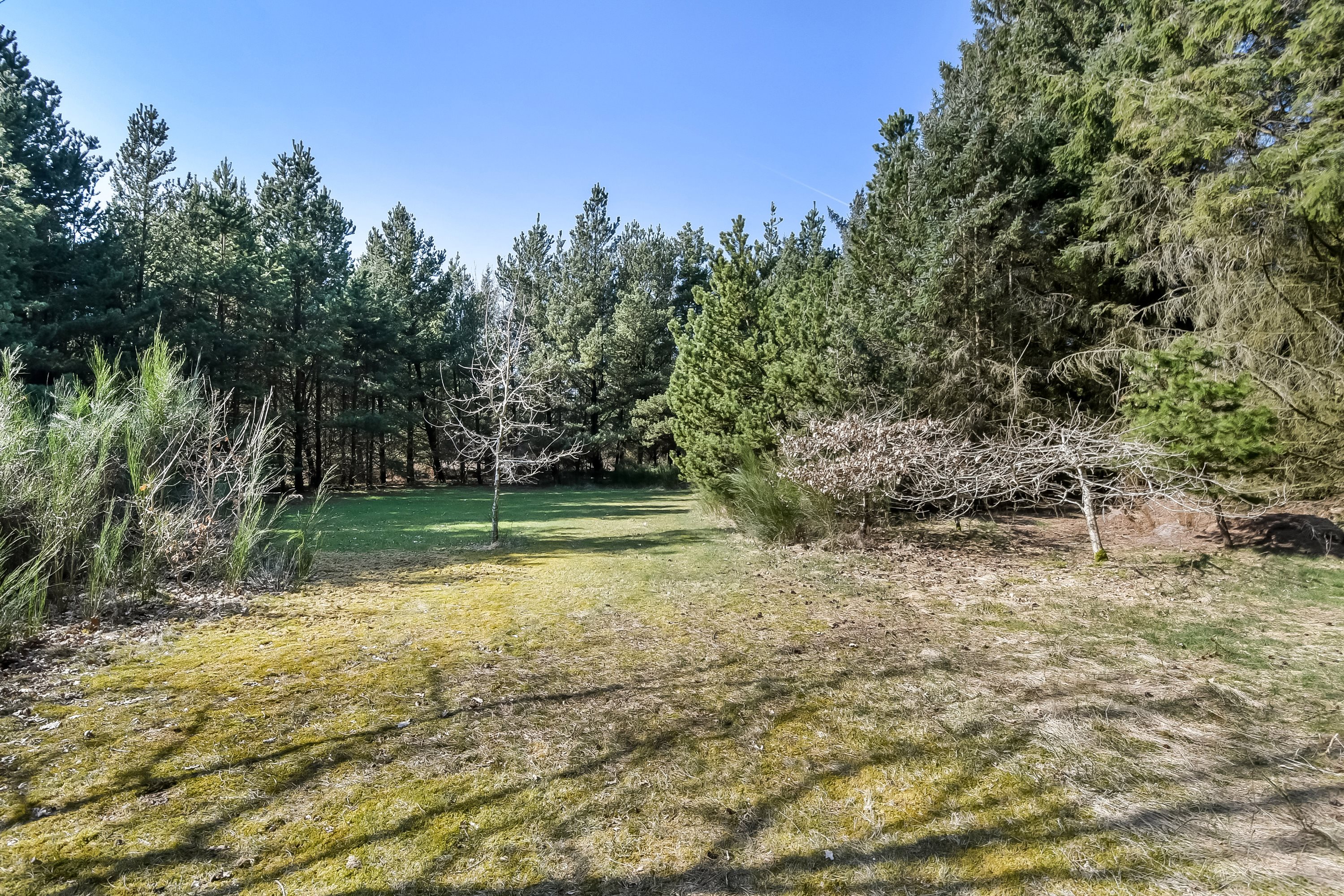 Fremhævet have billede i fuldskærmstilstand. Billede af Bækbyvej 63, Husby, 6990 Ulfborg