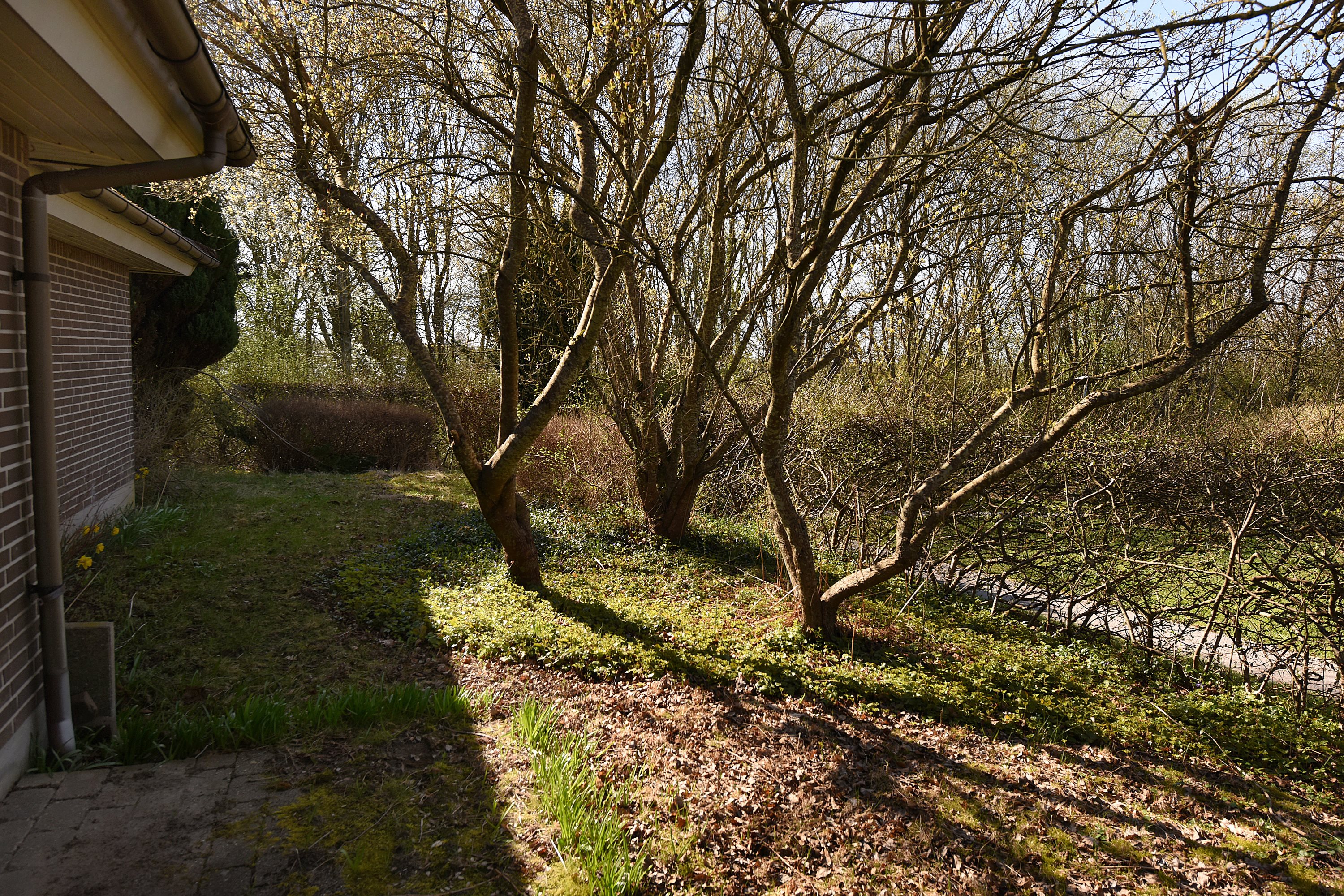 Fremhævet  billede i fuldskærmstilstand. Billede af Bavnegårdsvej 14, Kolt, 8361 Hasselager