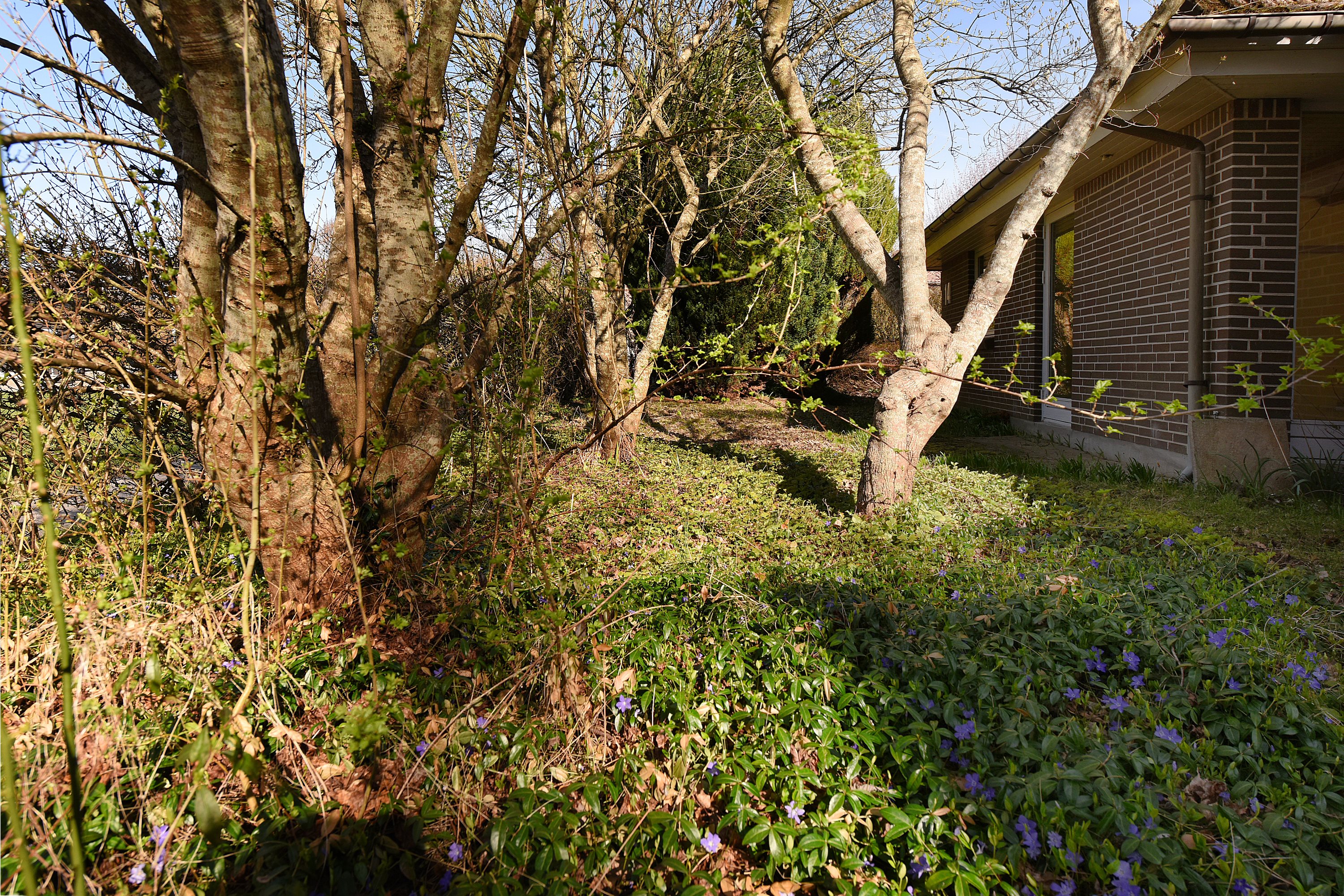 Fremhævet  billede i fuldskærmstilstand. Billede af Bavnegårdsvej 14, Kolt, 8361 Hasselager