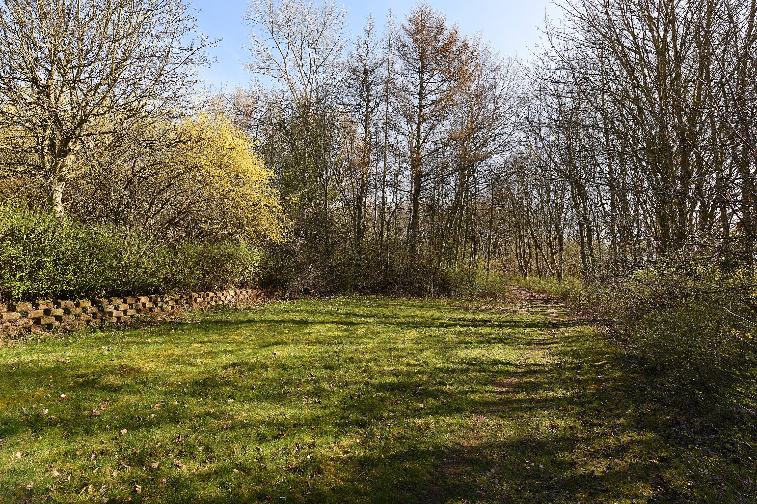 Fremhævet  billede i fuldskærmstilstand. Billede af Bavnegårdsvej 14, Kolt, 8361 Hasselager