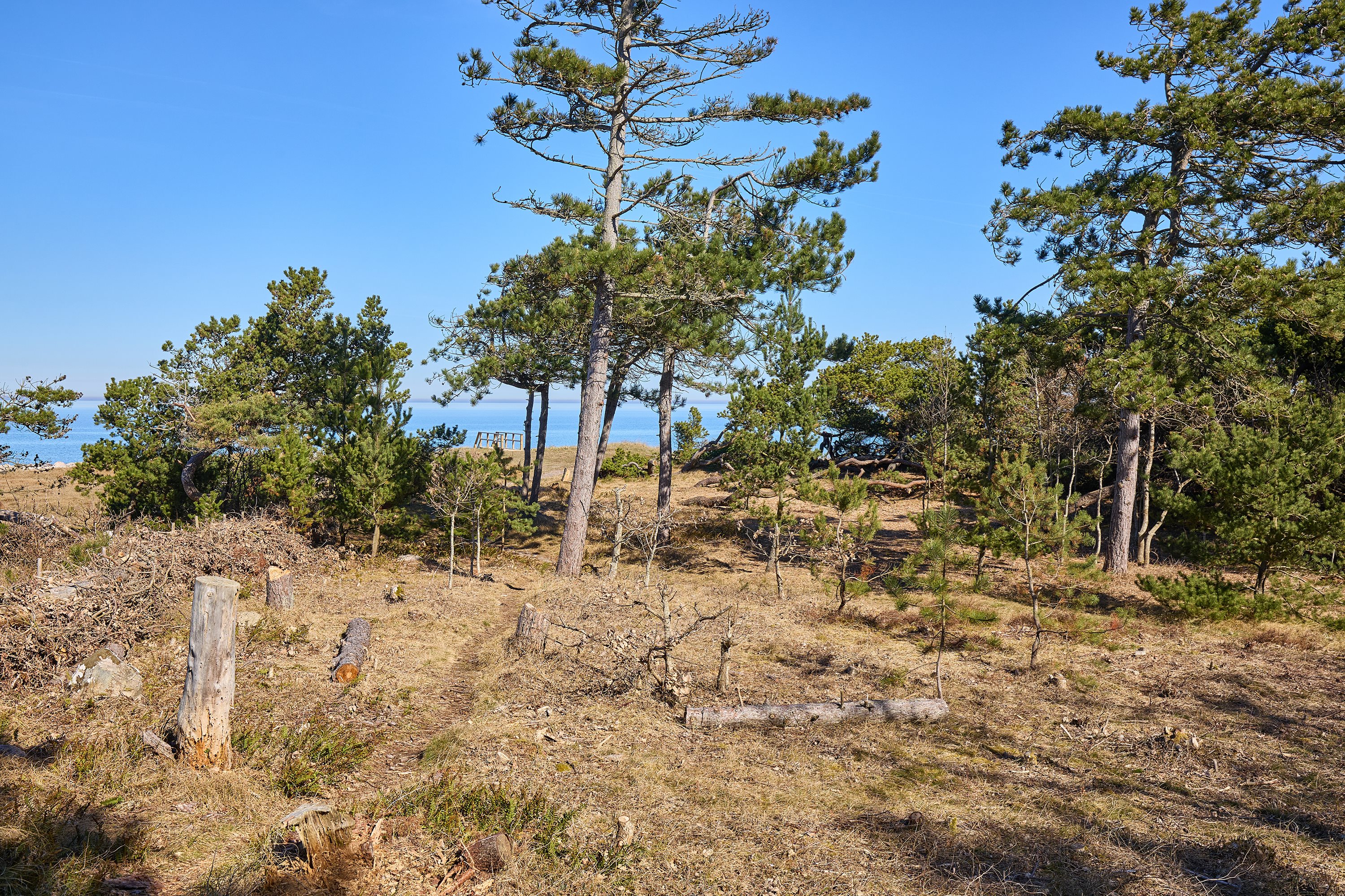Fremhævet område billede i fuldskærmstilstand. Billede af Udsholt Strandvej 31, 3250 Gilleleje