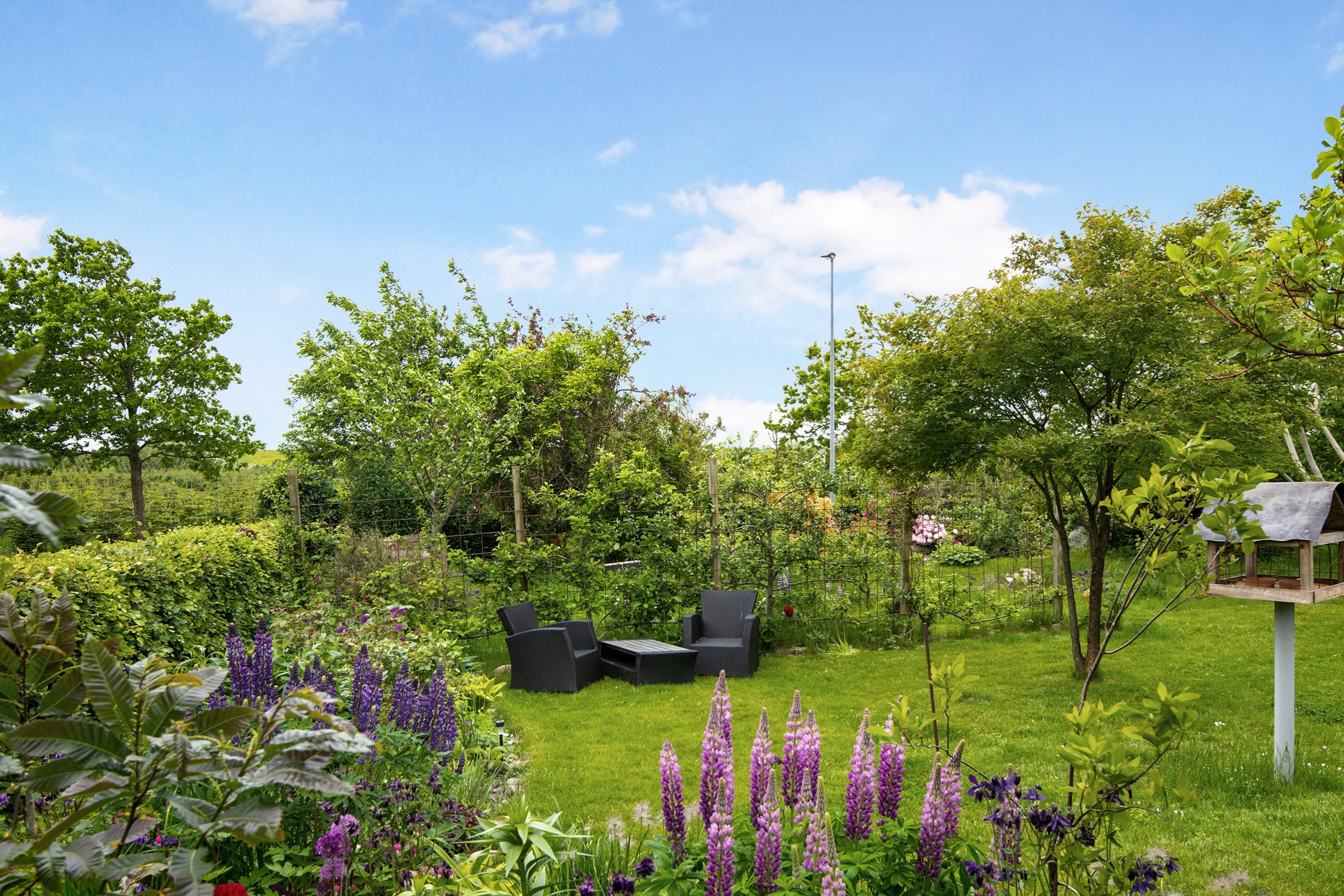 Fremhævet  billede i fuldskærmstilstand. Billede af Buderupholmvej 19, 9530 Støvring