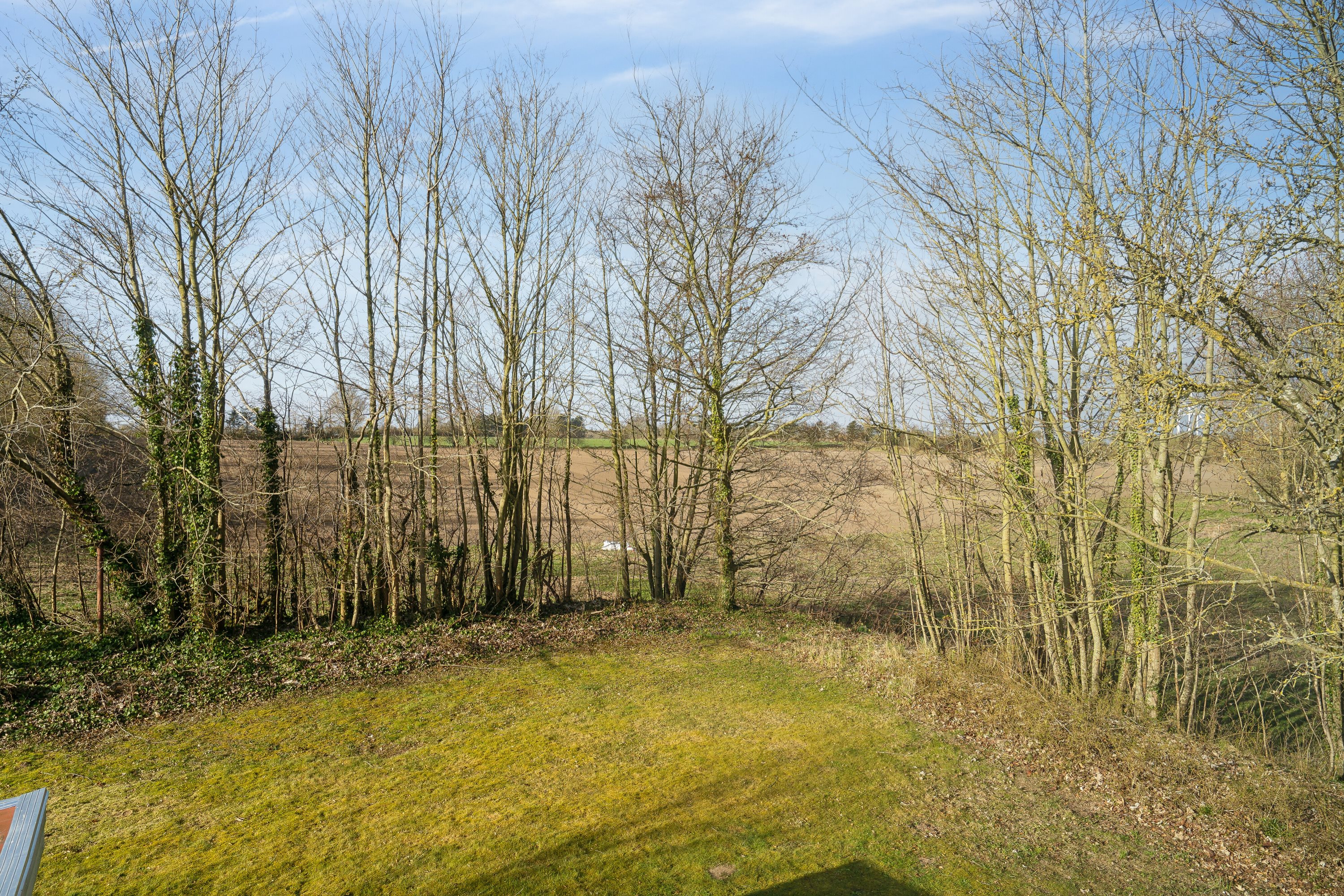 Fremhævet have billede i fuldskærmstilstand. Billede af P Hansens Gyden 40, Gyngstrup Mark, 5450 Otterup