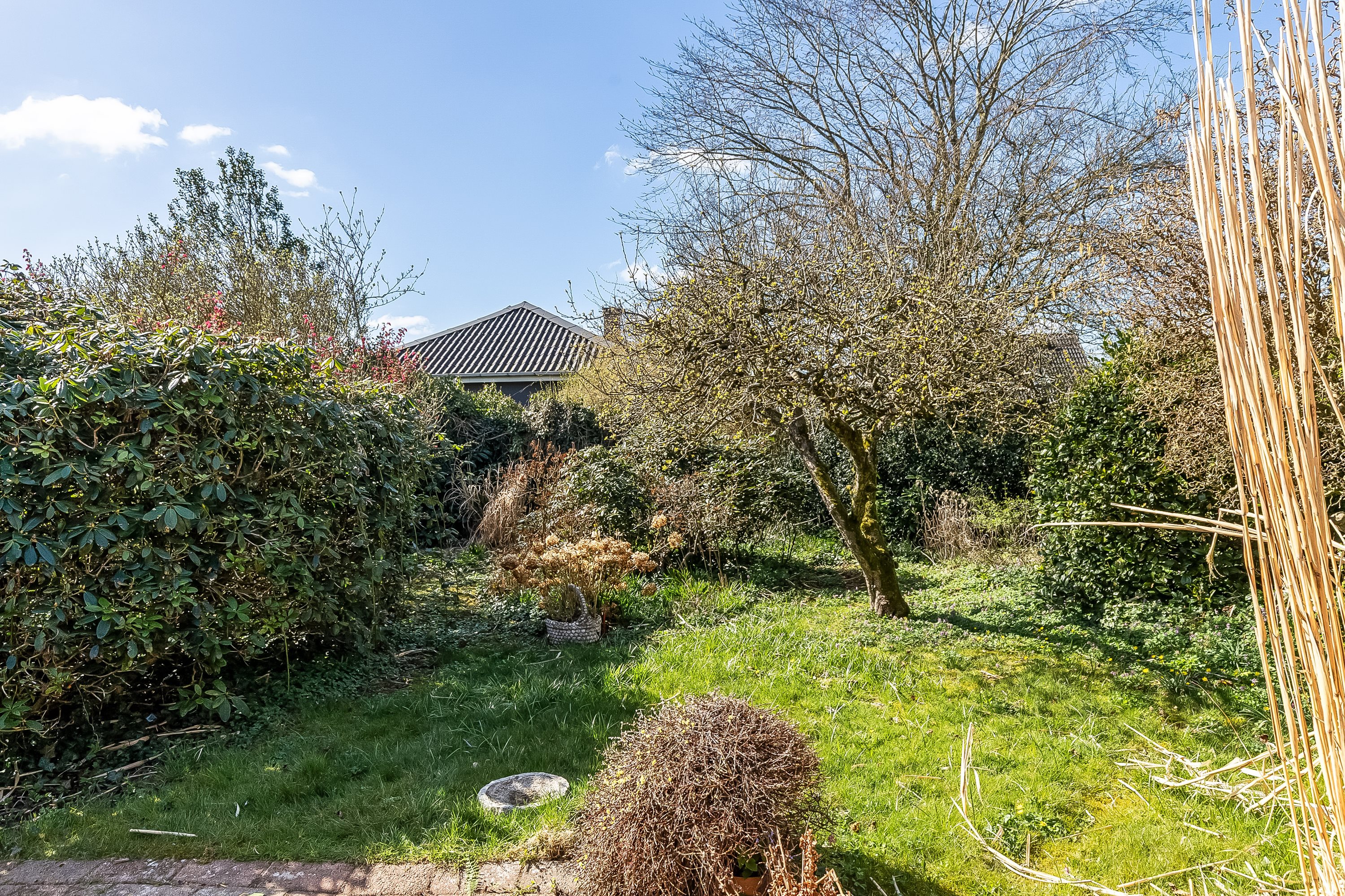 Fremhævet have billede i fuldskærmstilstand. Billede af Steen Blichers Vej 12, 6000 Kolding