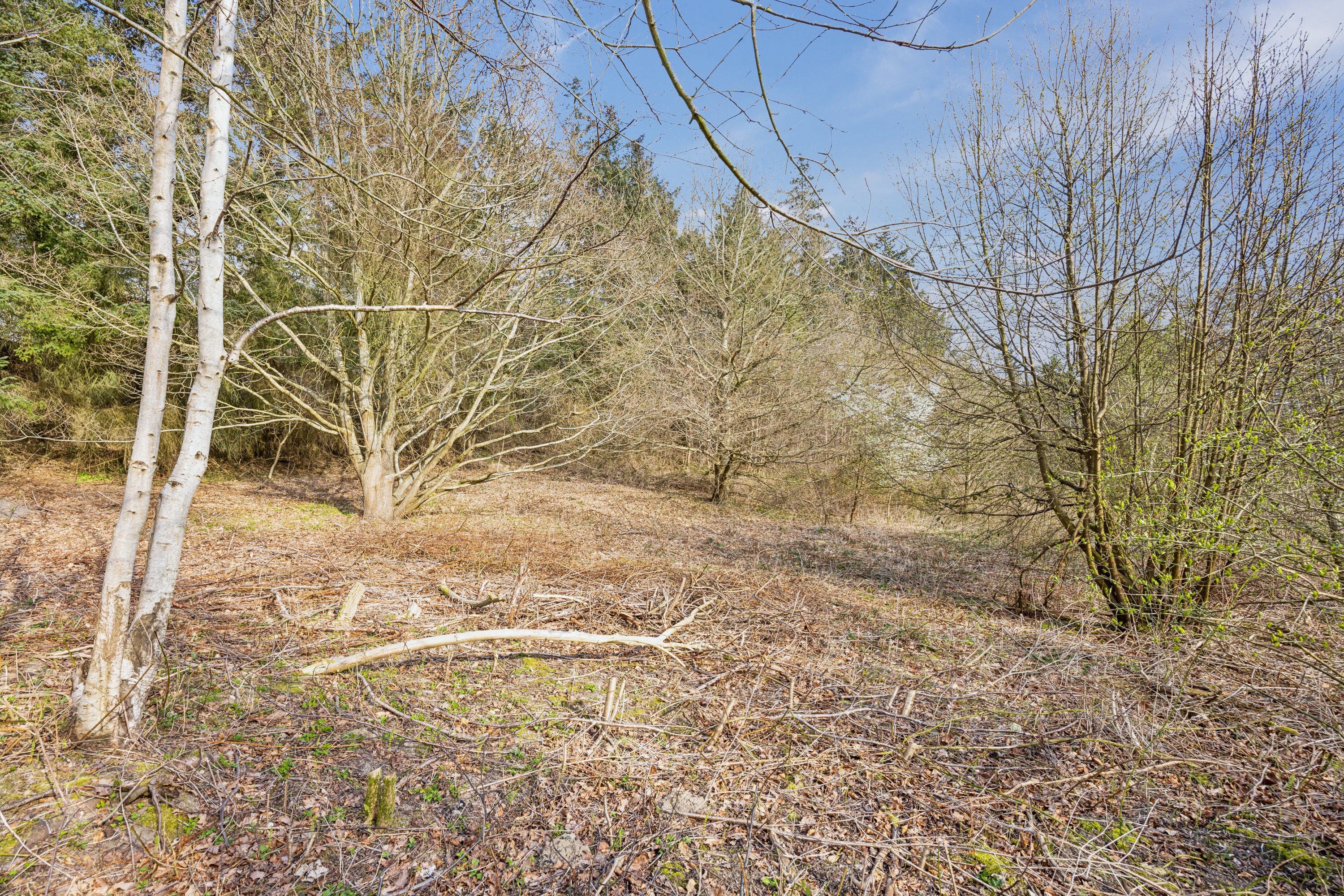 Fremhævet grund billede i fuldskærmstilstand. Billede af Hyldestien 3, Tved, 8420 Knebel