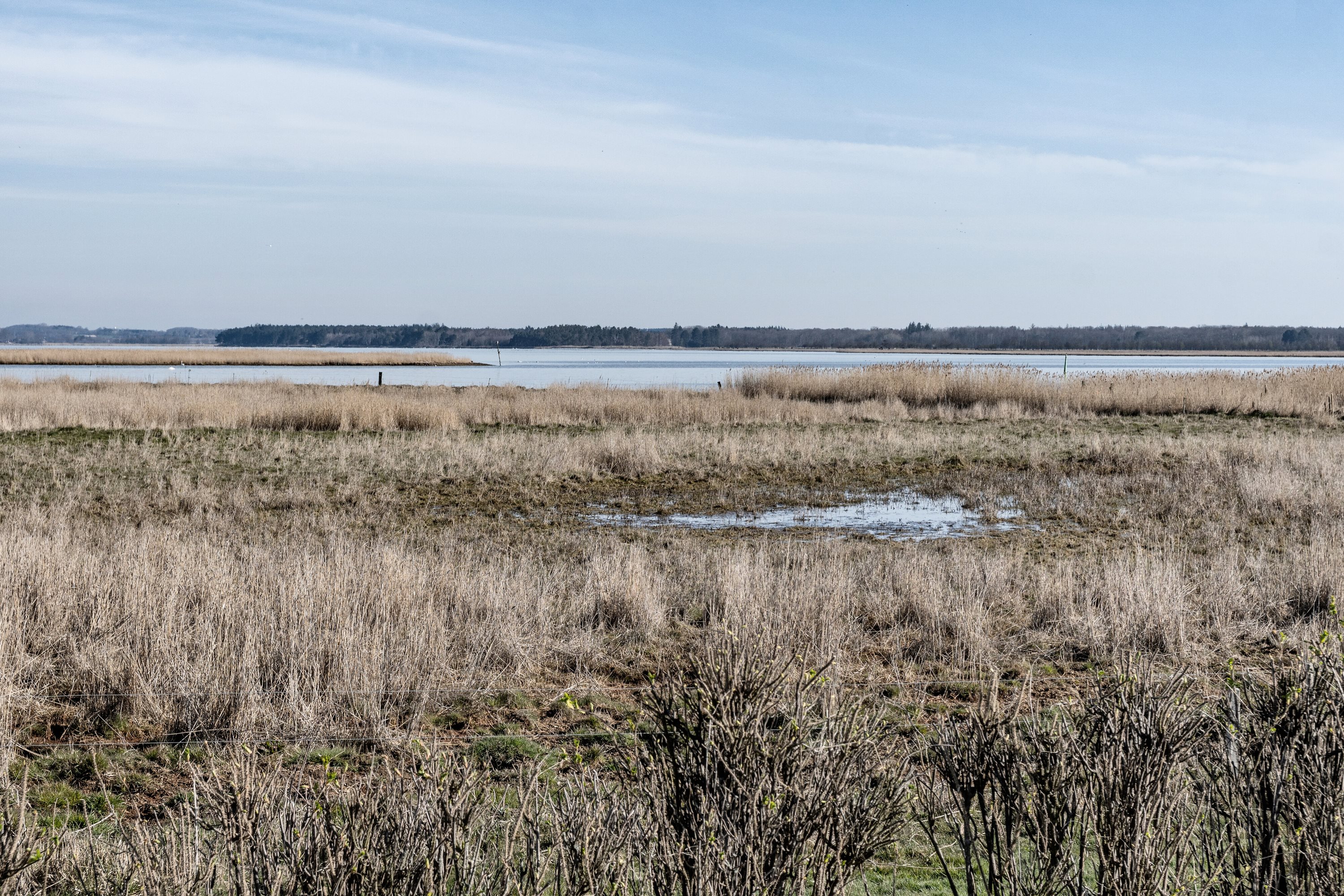 Fremhævet udendørs billede i fuldskærmstilstand. Billede af Svanevej 12, 4720 Præstø