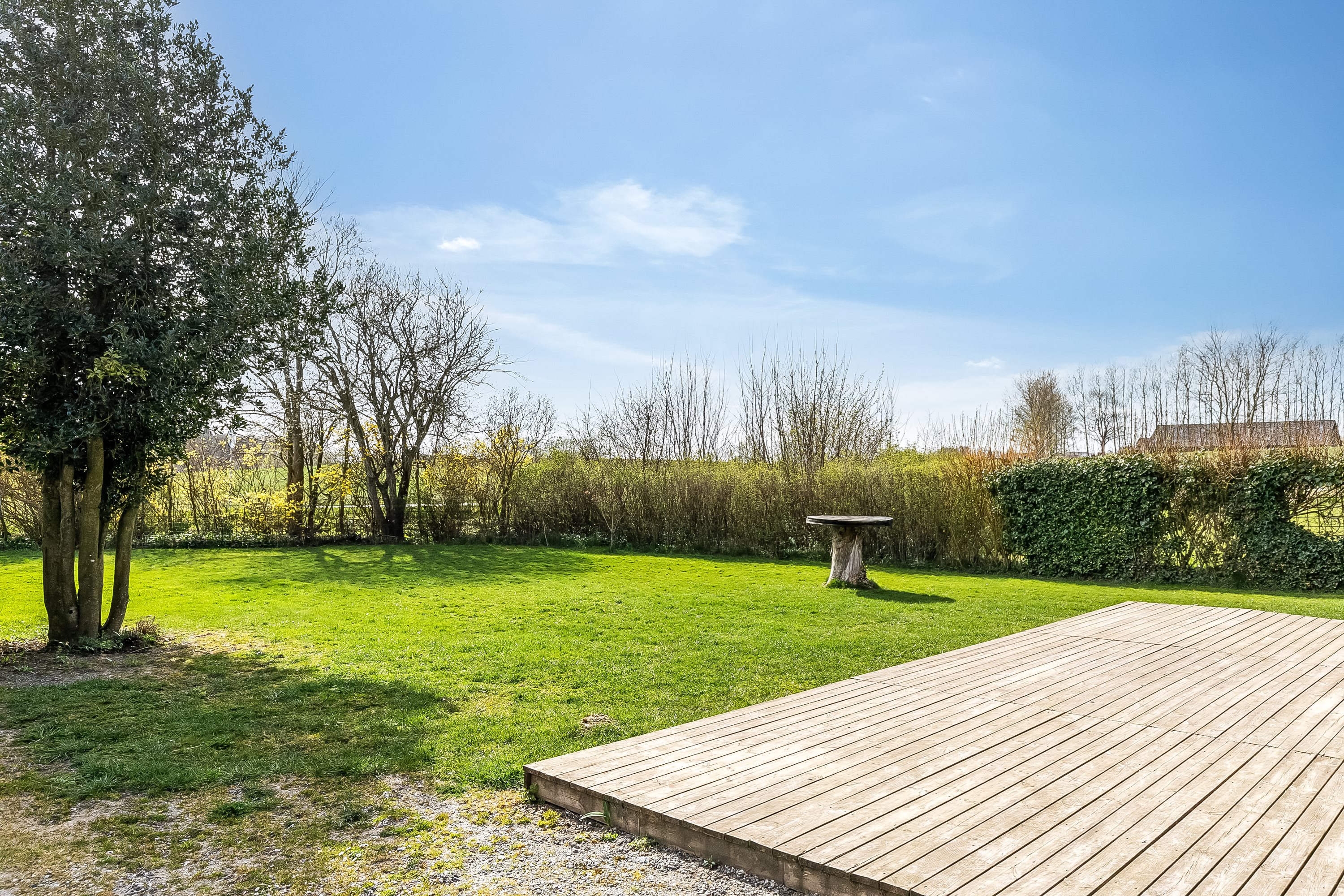 Miniaturebillede 1: have. Billede af Vongevej 8, Vindelev, 7300 Jelling