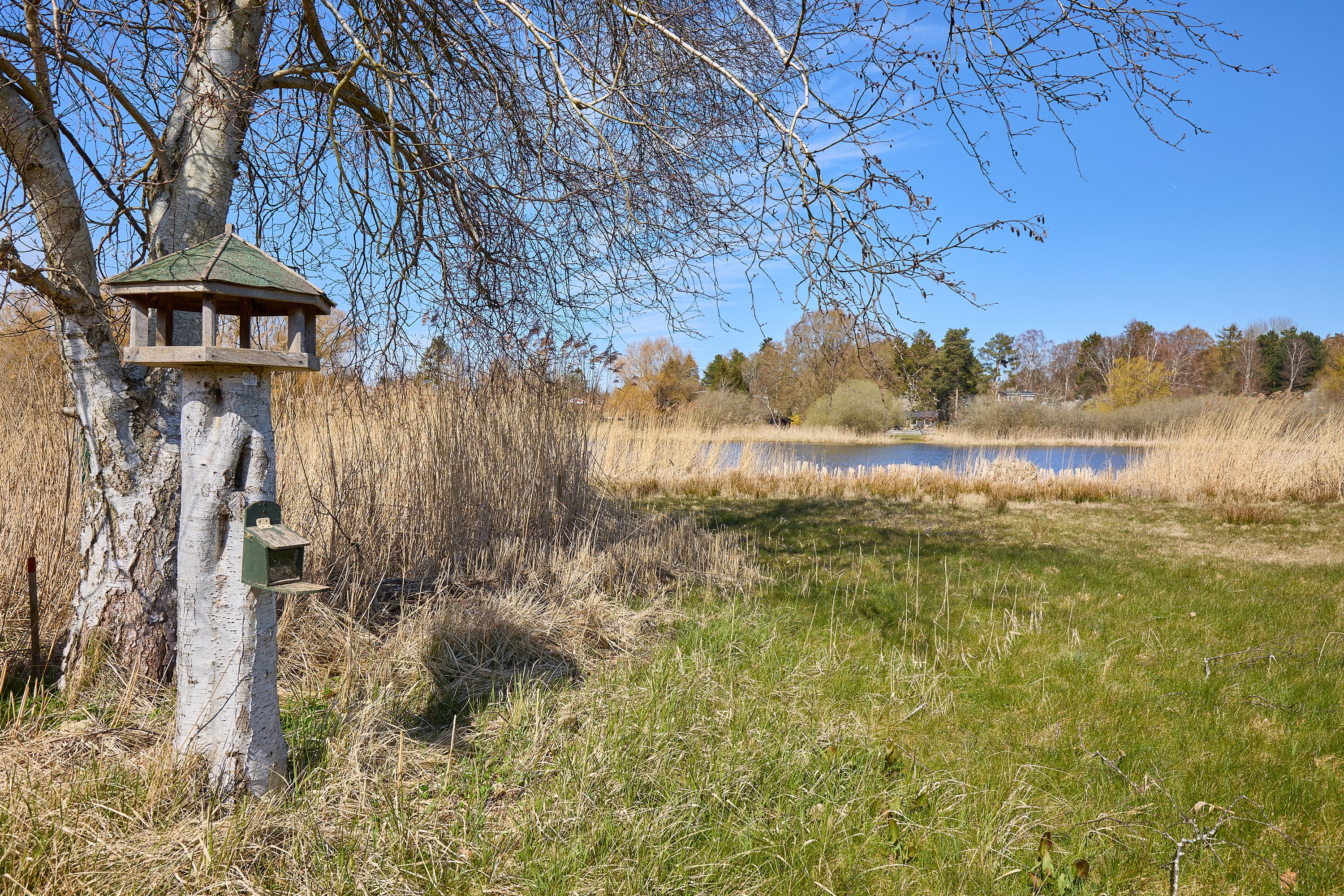 Fremhævet have billede i fuldskærmstilstand. Billede af Hejrevej 29, Kulhuse, 3630 Jægerspris